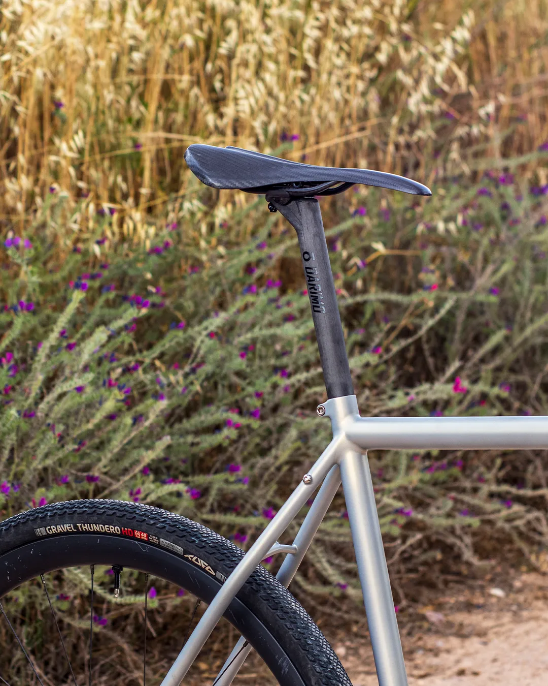 Detalle del tubo del sillín y la tija