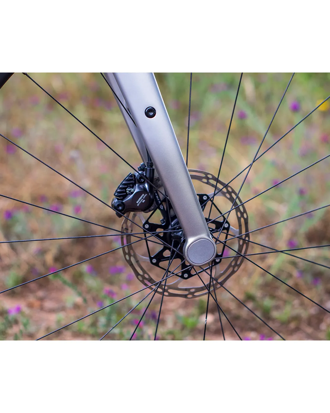 Detalle del freno delantero y la horquilla