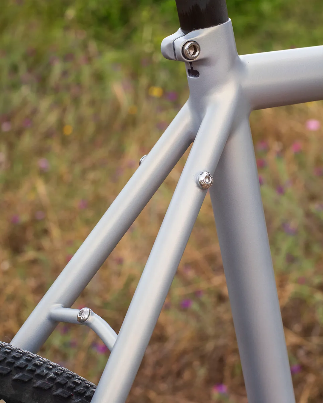 Detalle del puente trasero