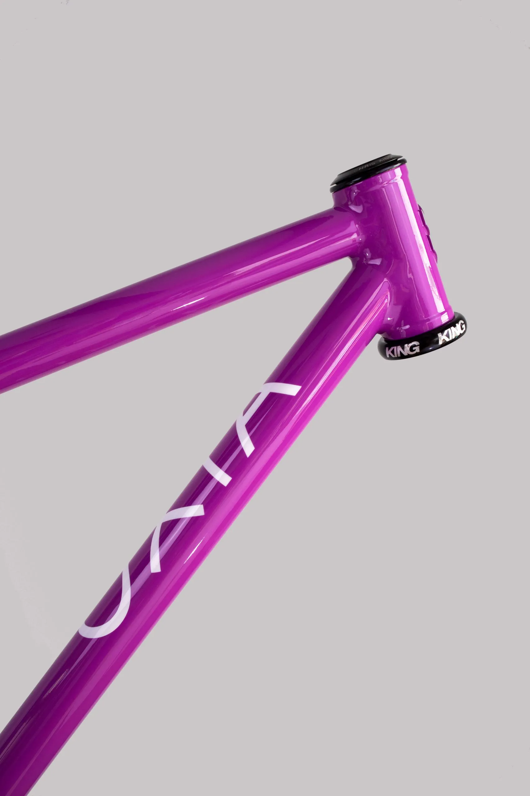 Oxia Babieca detalle 04