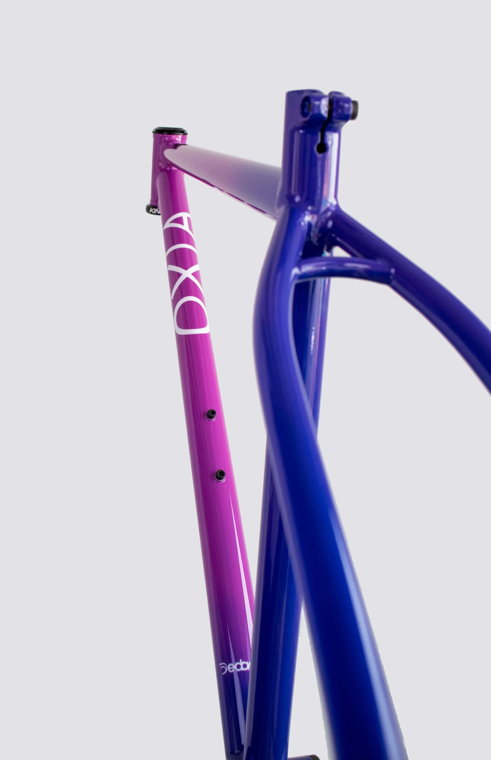 Oxia Babieca detalle 05