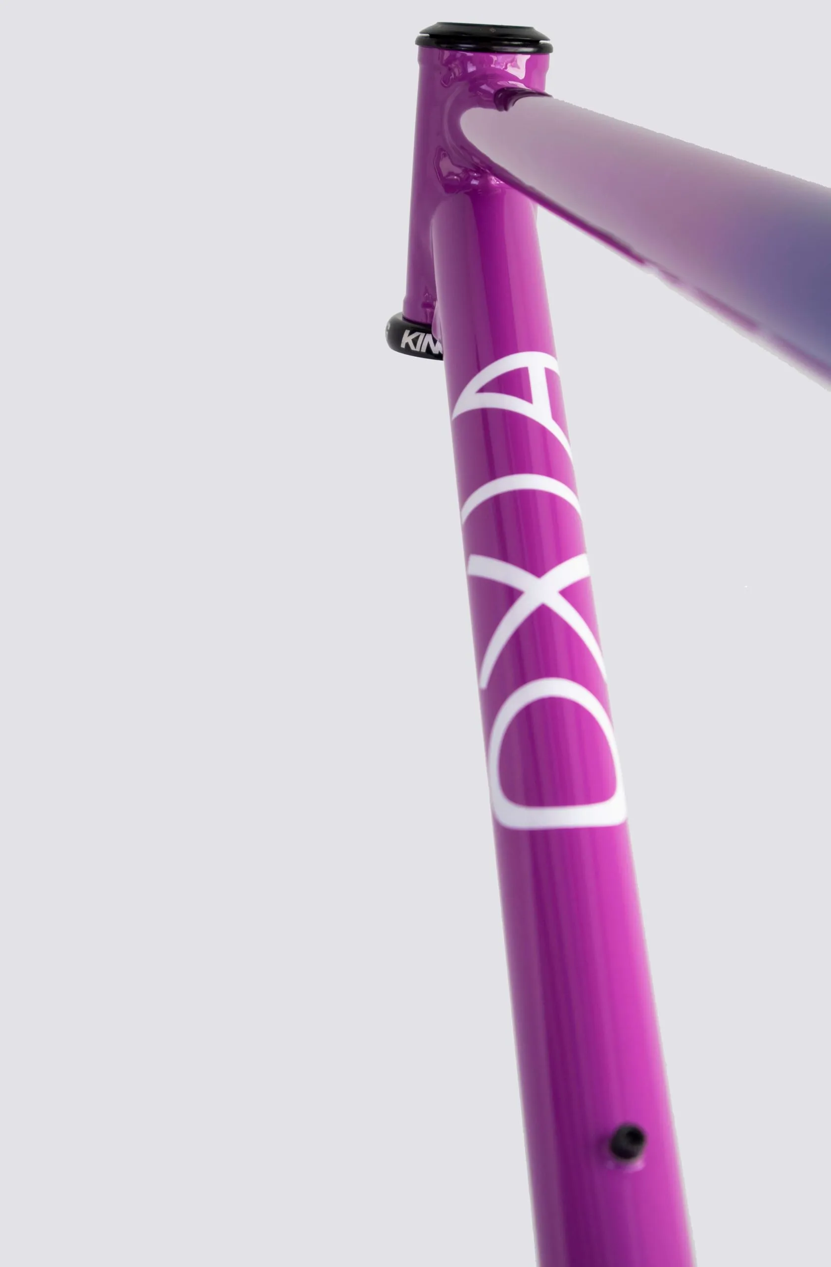 Oxia Babieca detalle 09