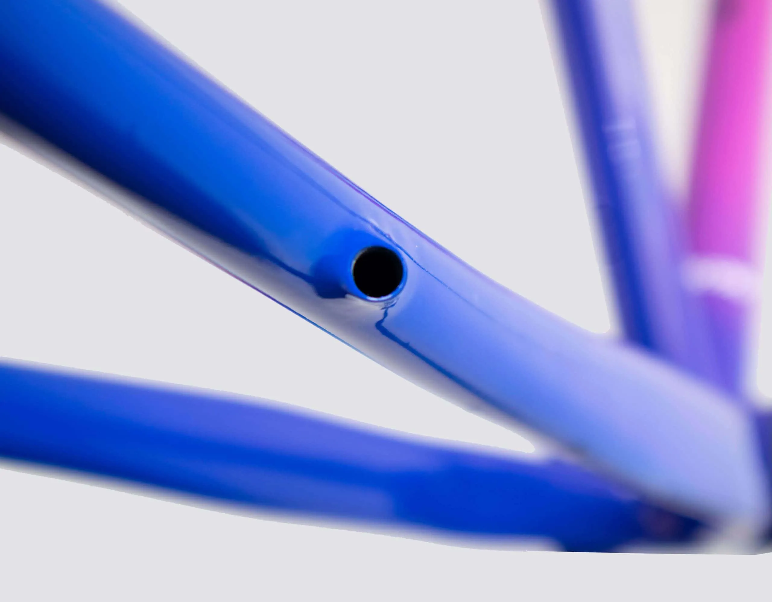 Oxia Babieca detalle 11