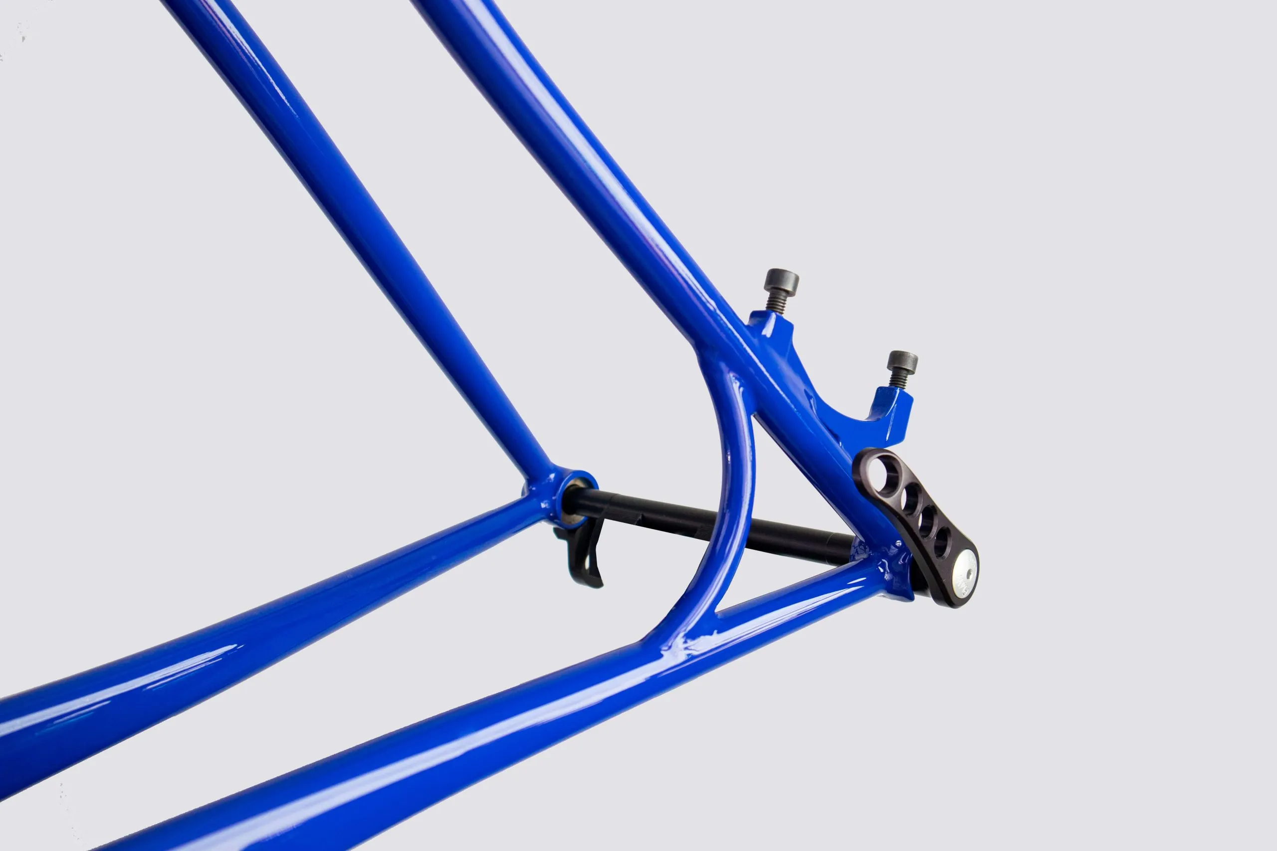 Oxia Babieca detalle 13