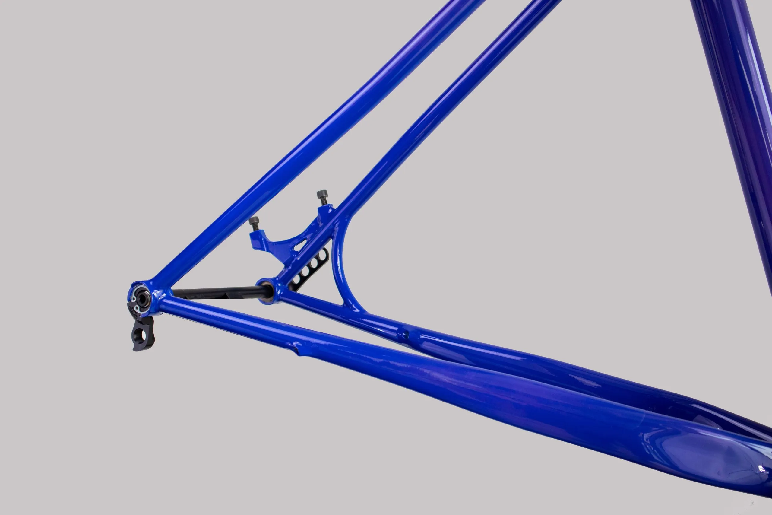 Oxia Babieca detalle 14