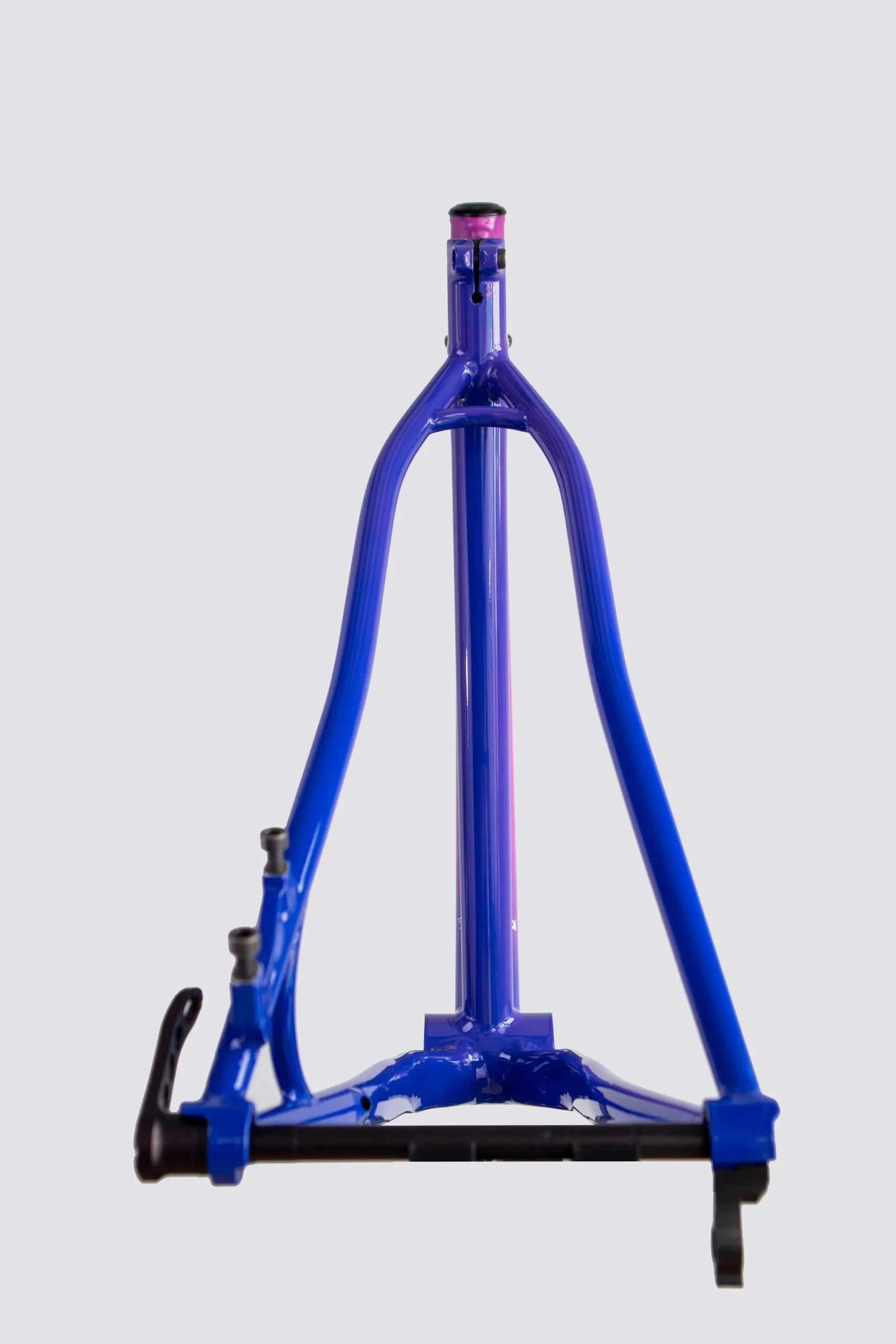 Oxia Babieca detalle 15