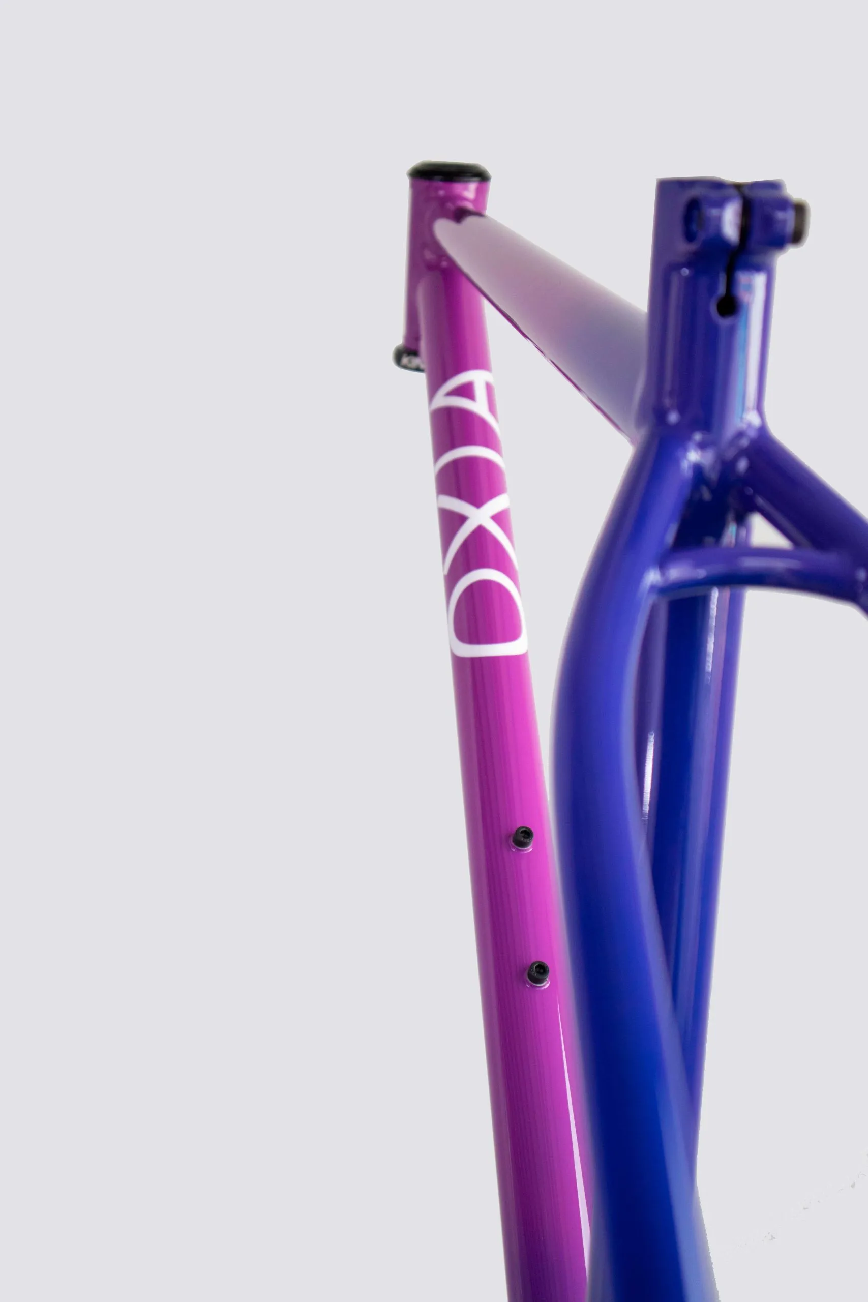 Oxia Babieca detalle 16