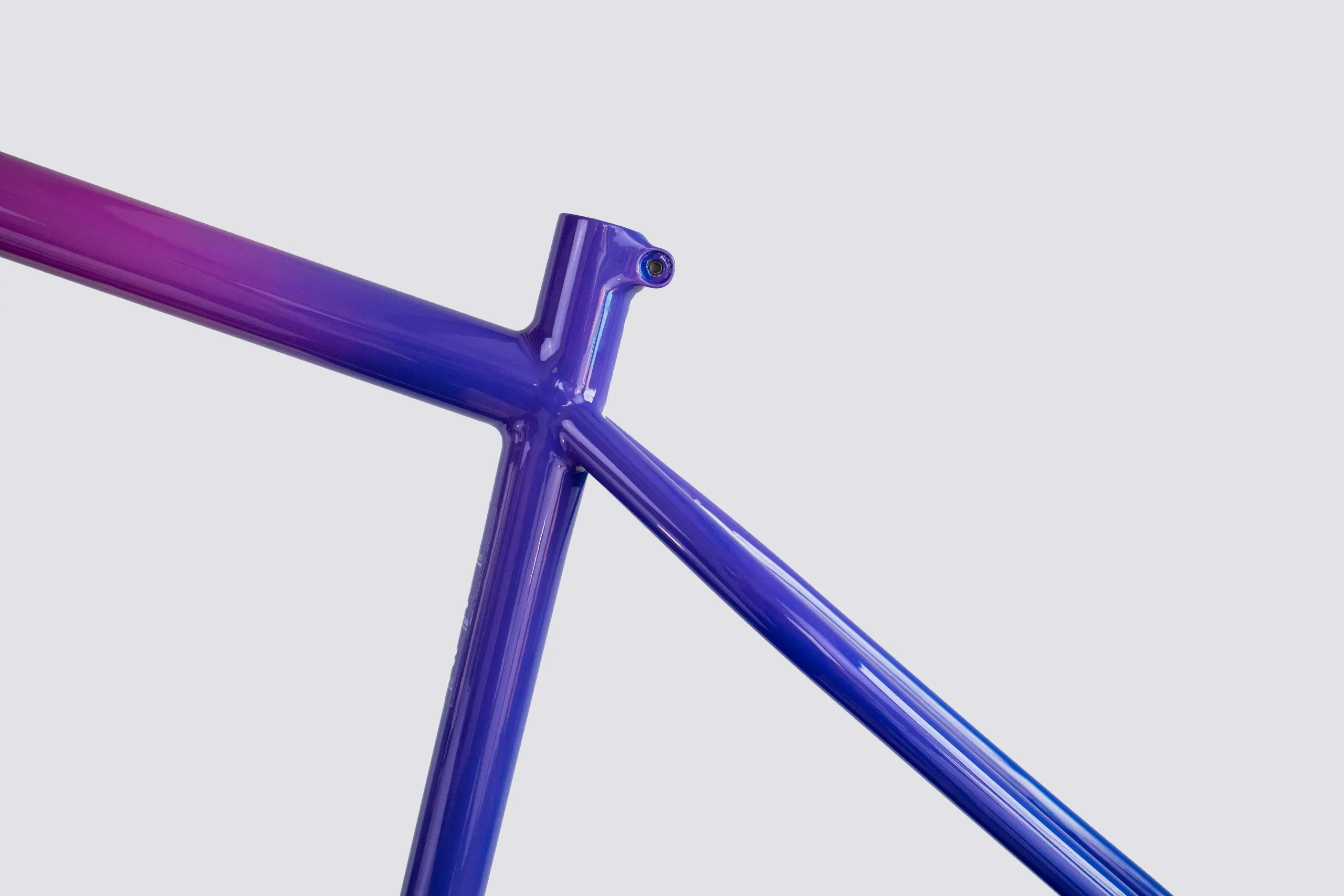 Oxia Babieca detalle 18