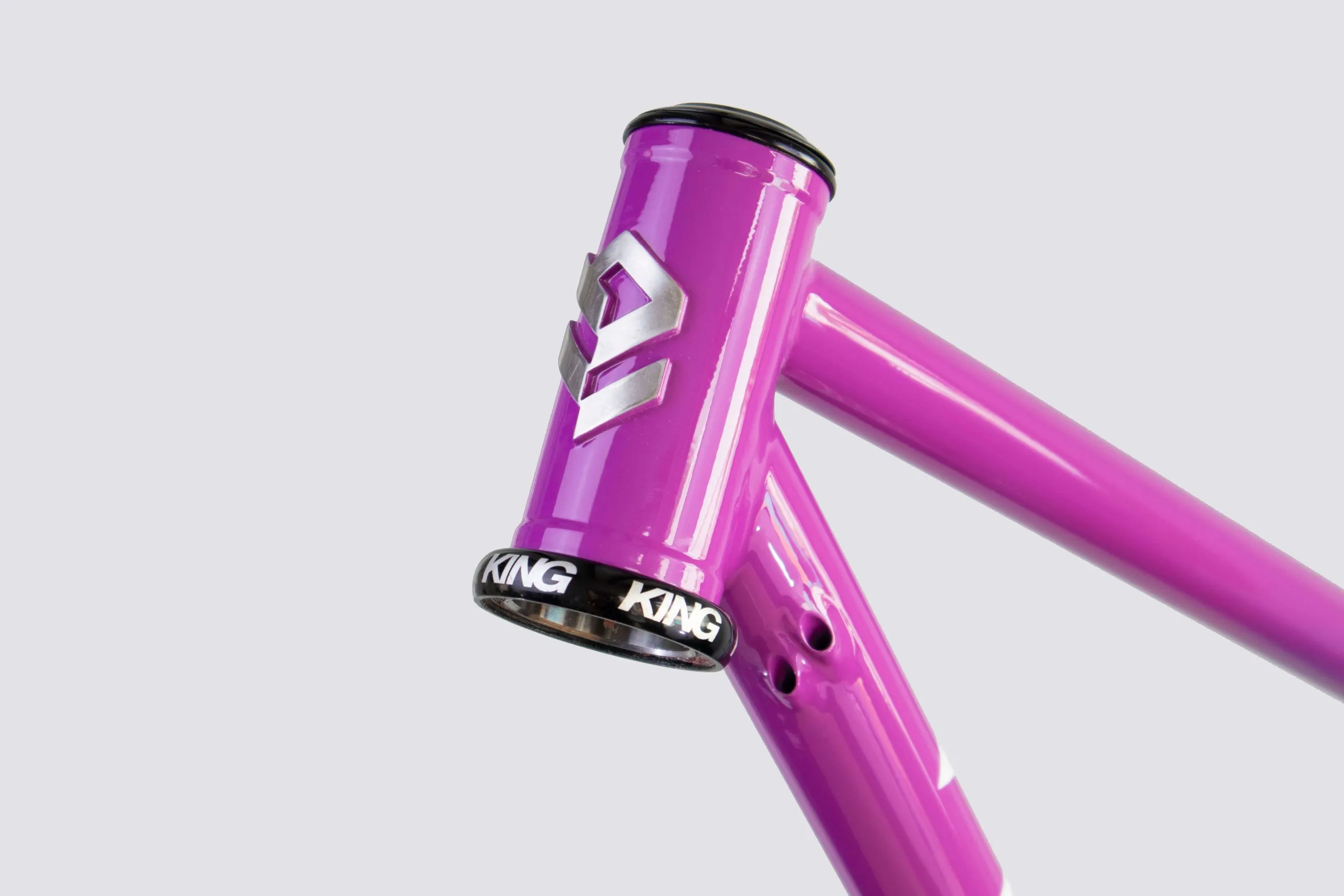 Oxia Babieca detalle 20