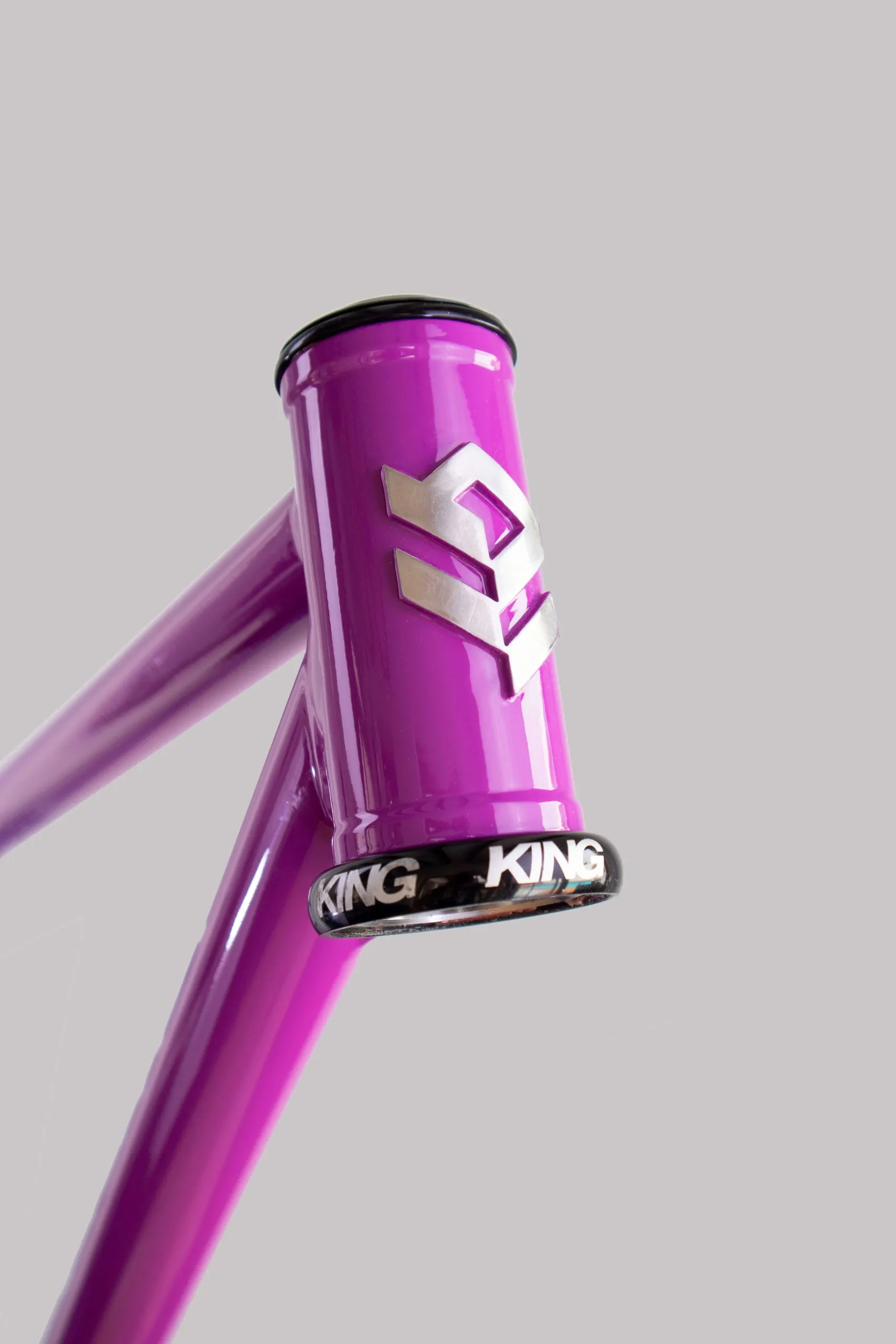 Oxia Babieca detalle 21