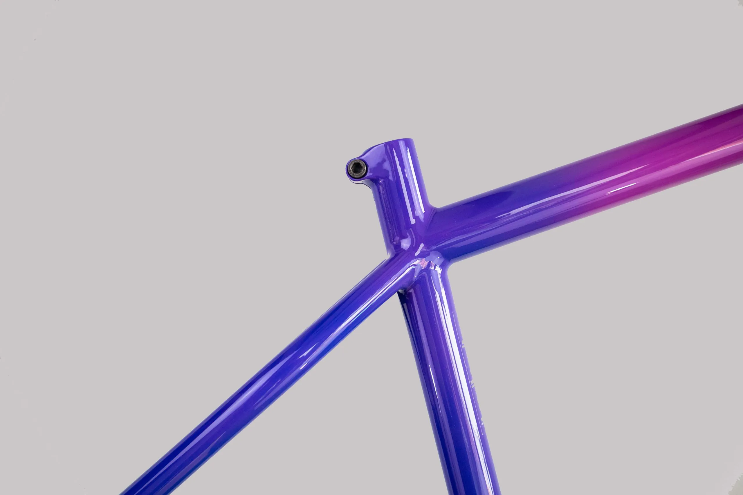 Oxia Babieca detalle 22