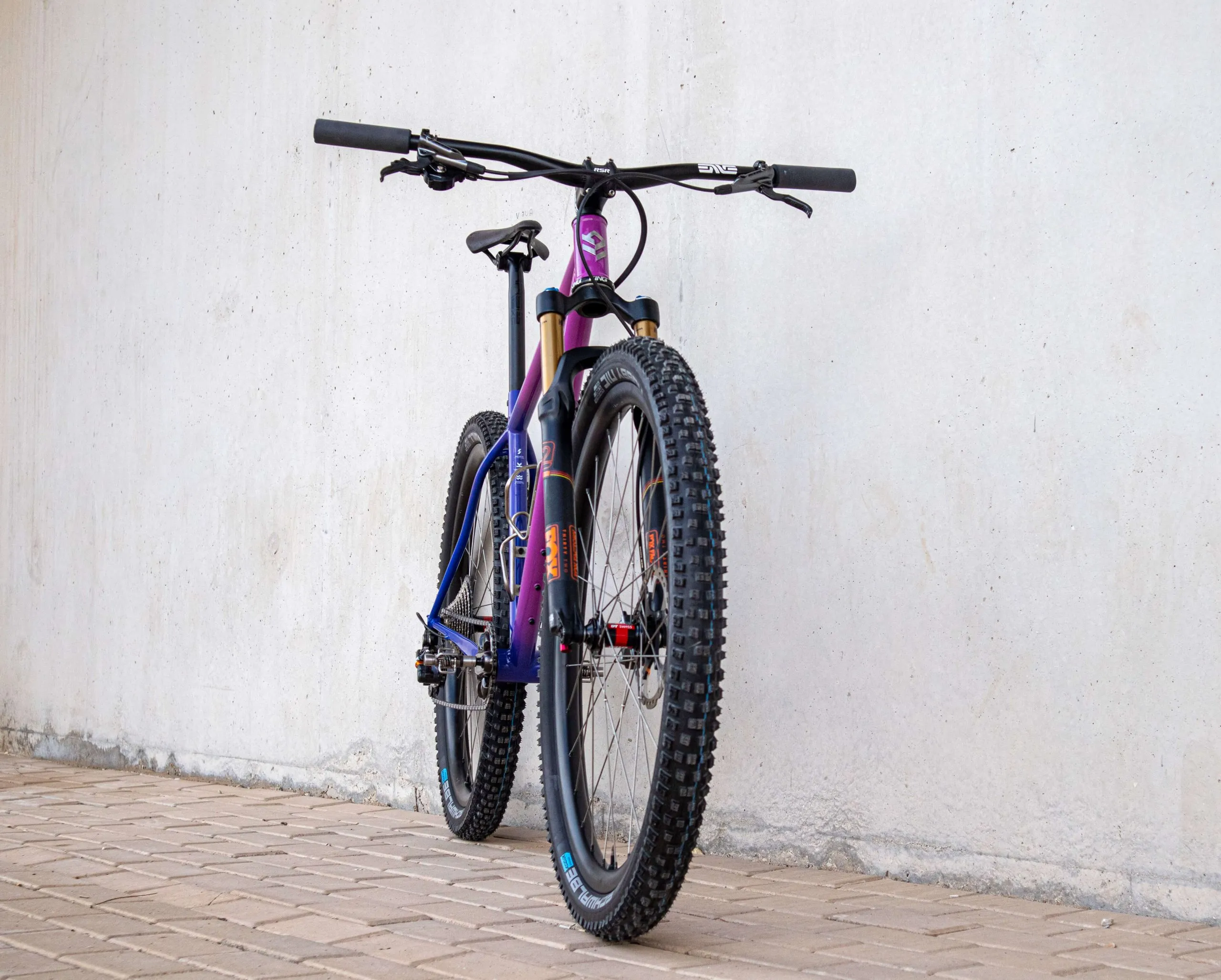 Oxia Babieca detalle 23