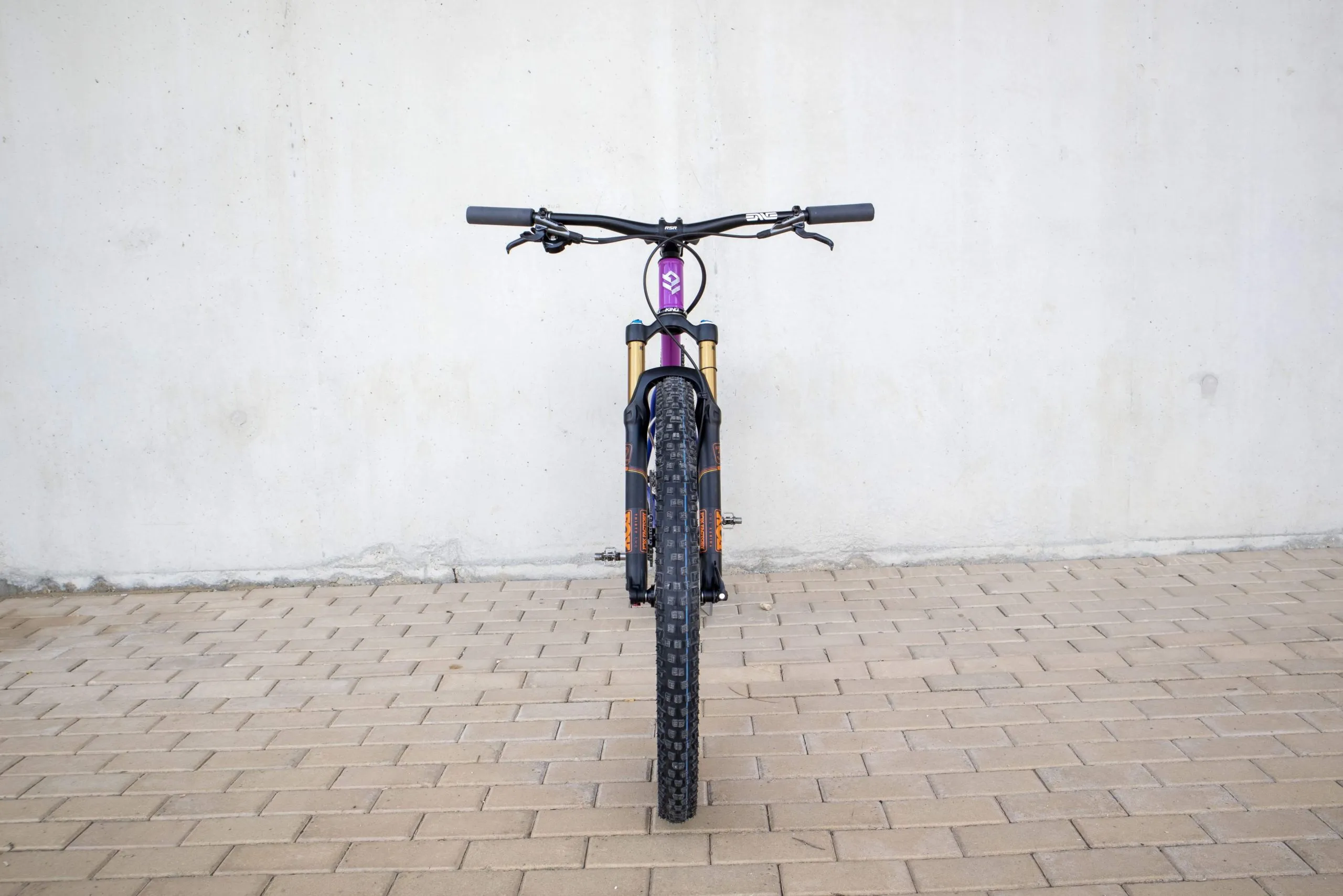 Oxia Babieca detalle 24