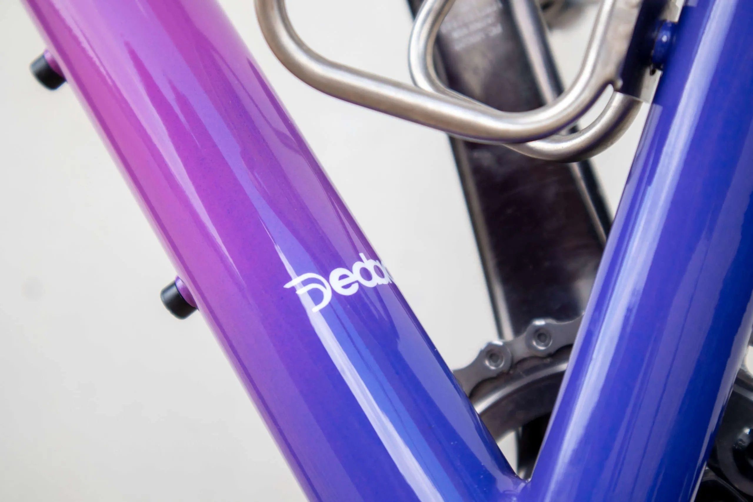 Oxia Babieca detalle 27