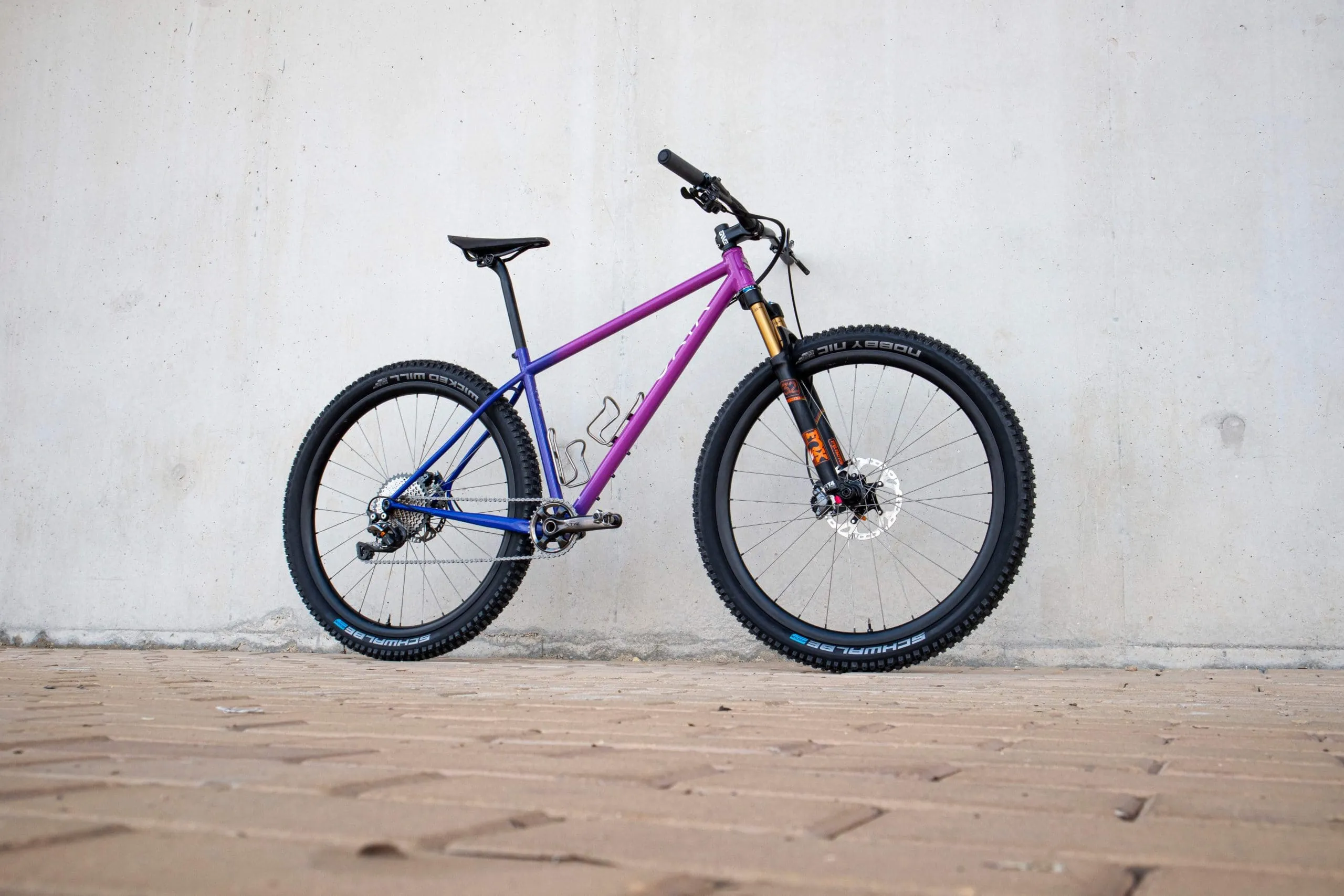 Oxia Babieca detalle 29