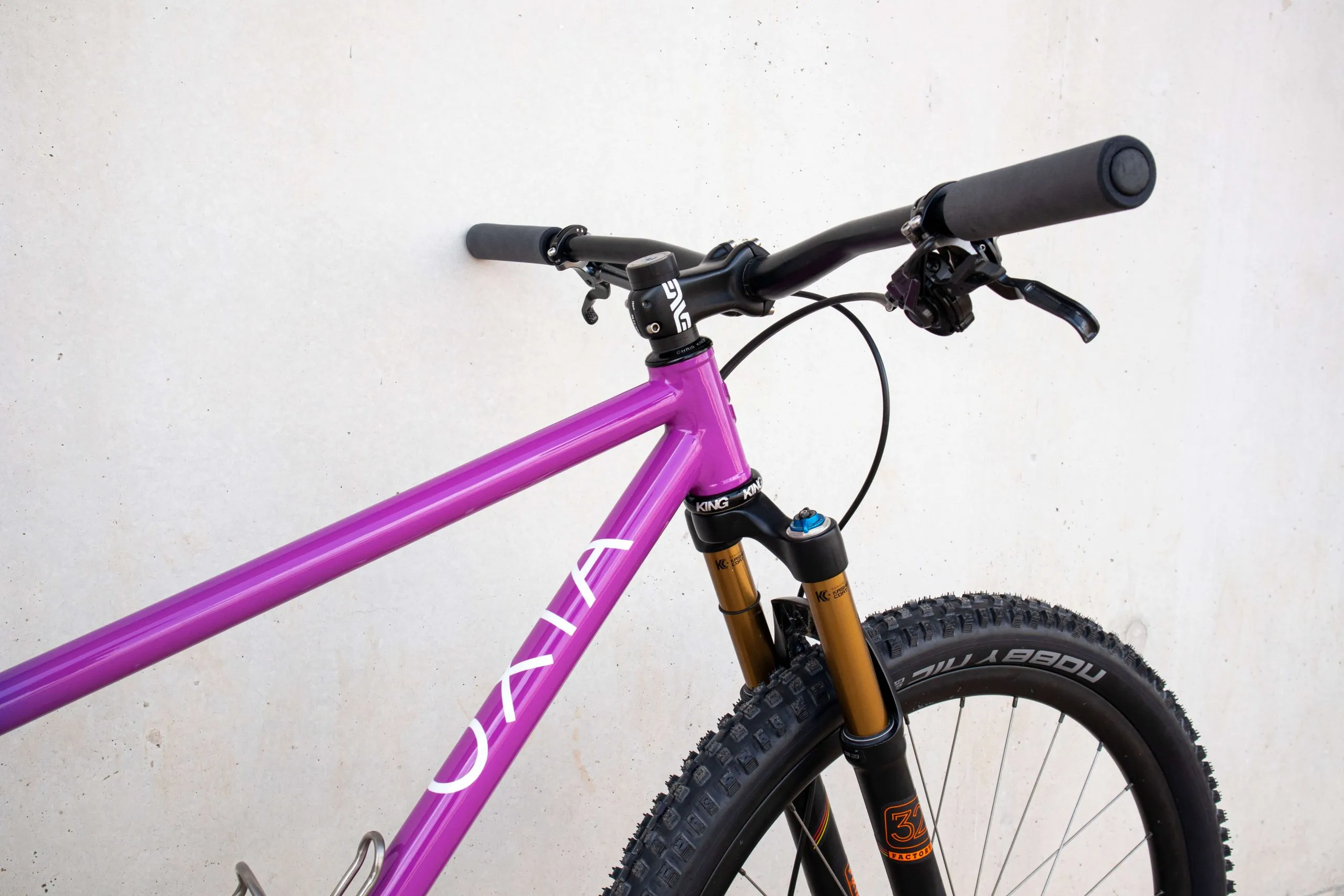 Oxia Babieca detalle 32