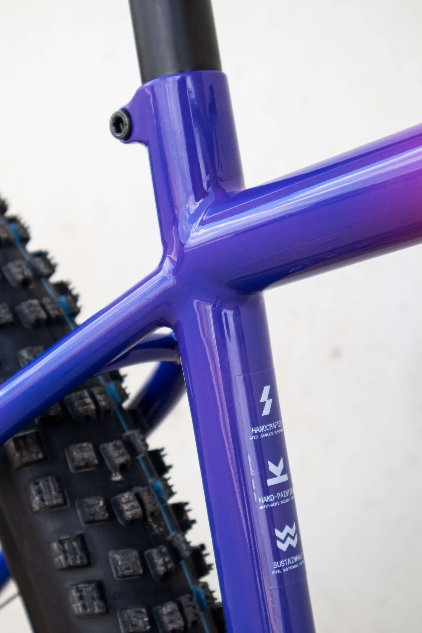 Oxia Babieca detalle 33