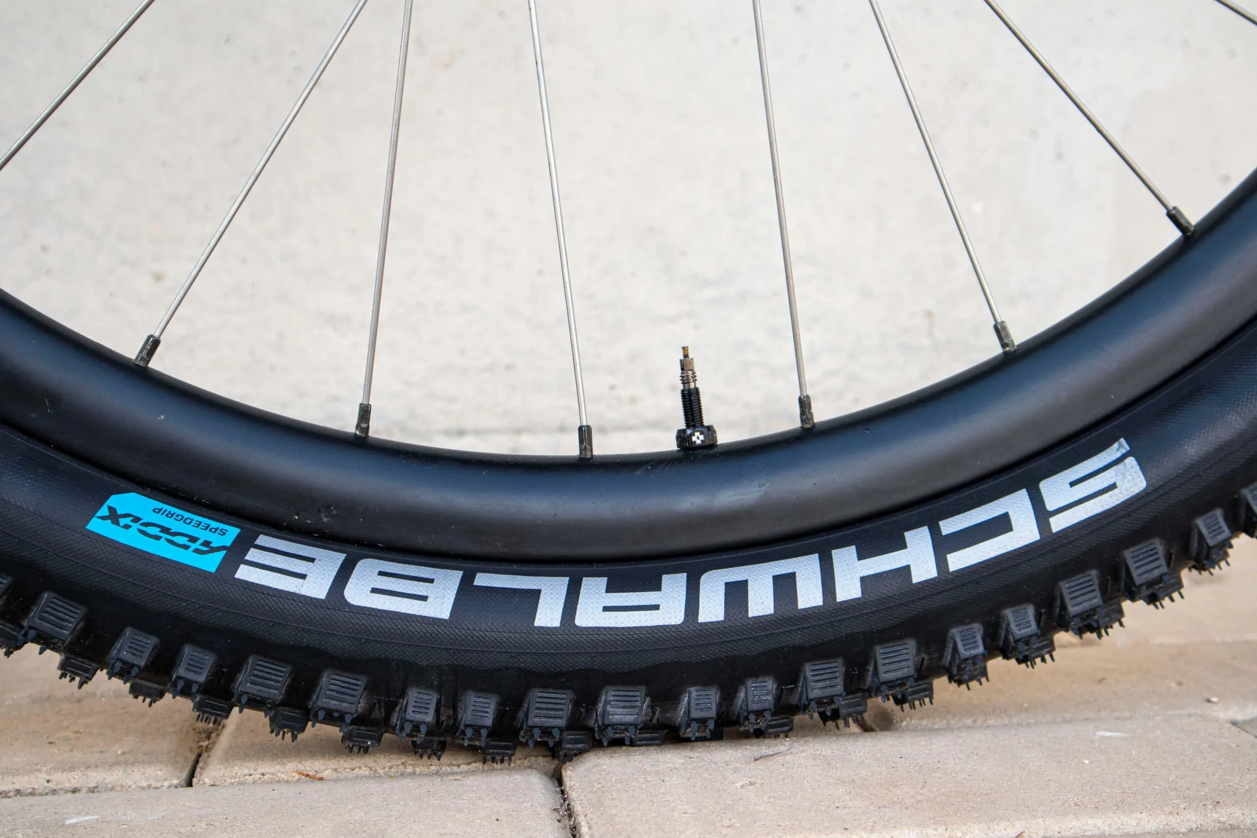 Oxia Babieca detalle 36