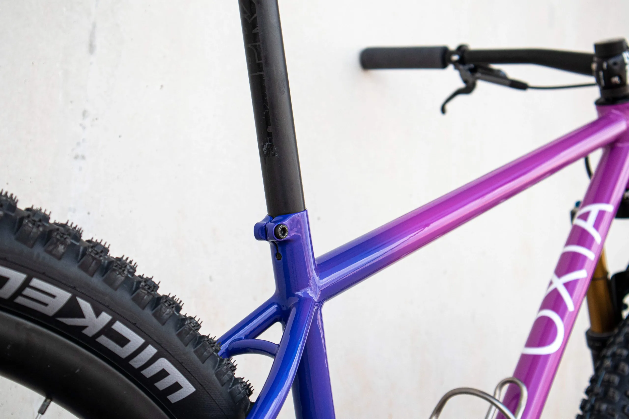 Oxia Babieca detalle 38