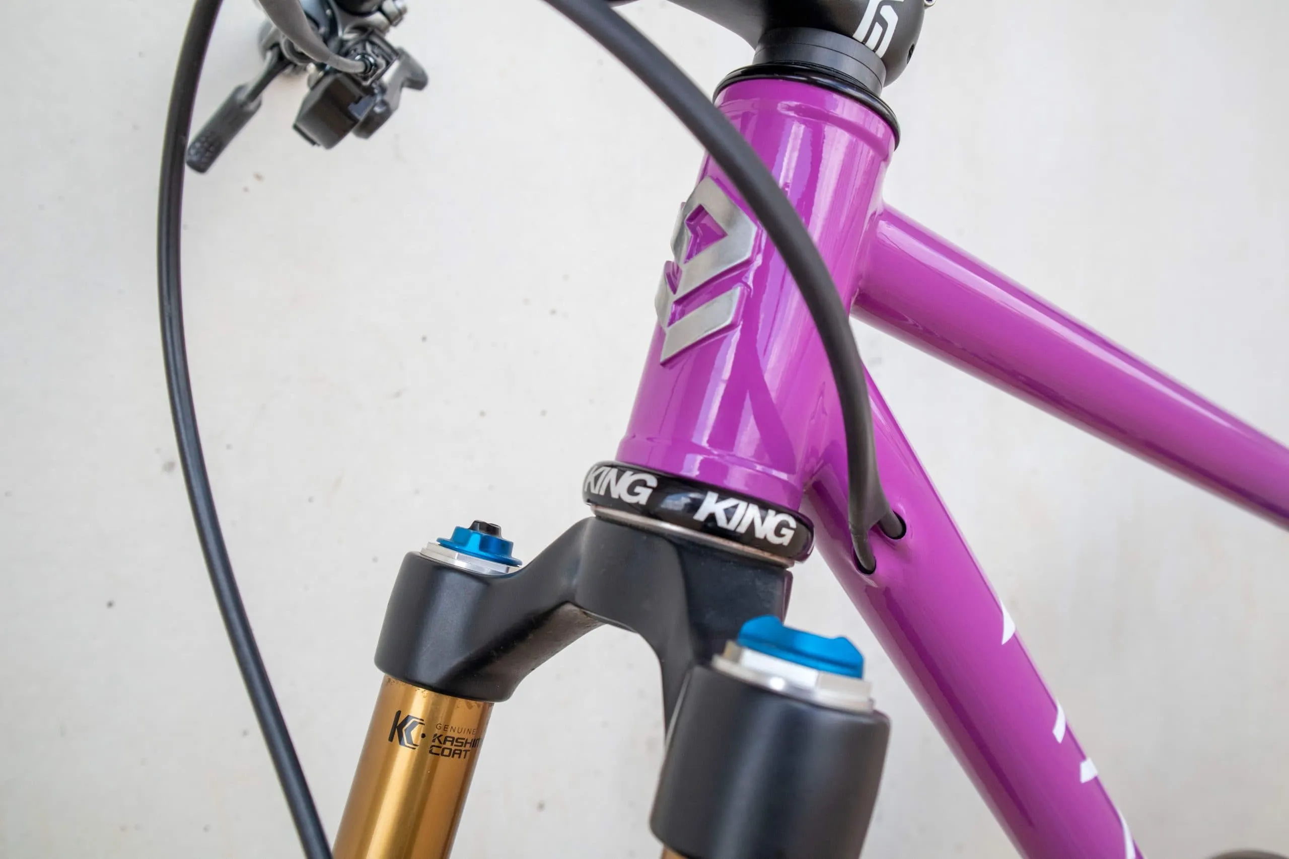 Oxia Babieca detalle 43