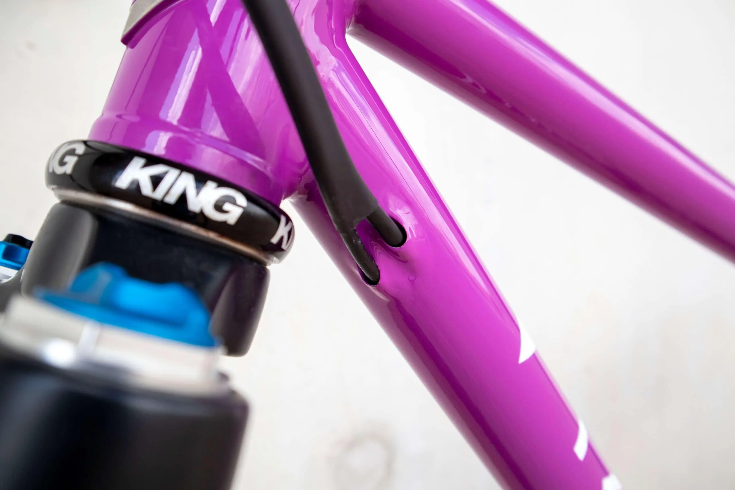 Oxia Babieca detalle 44