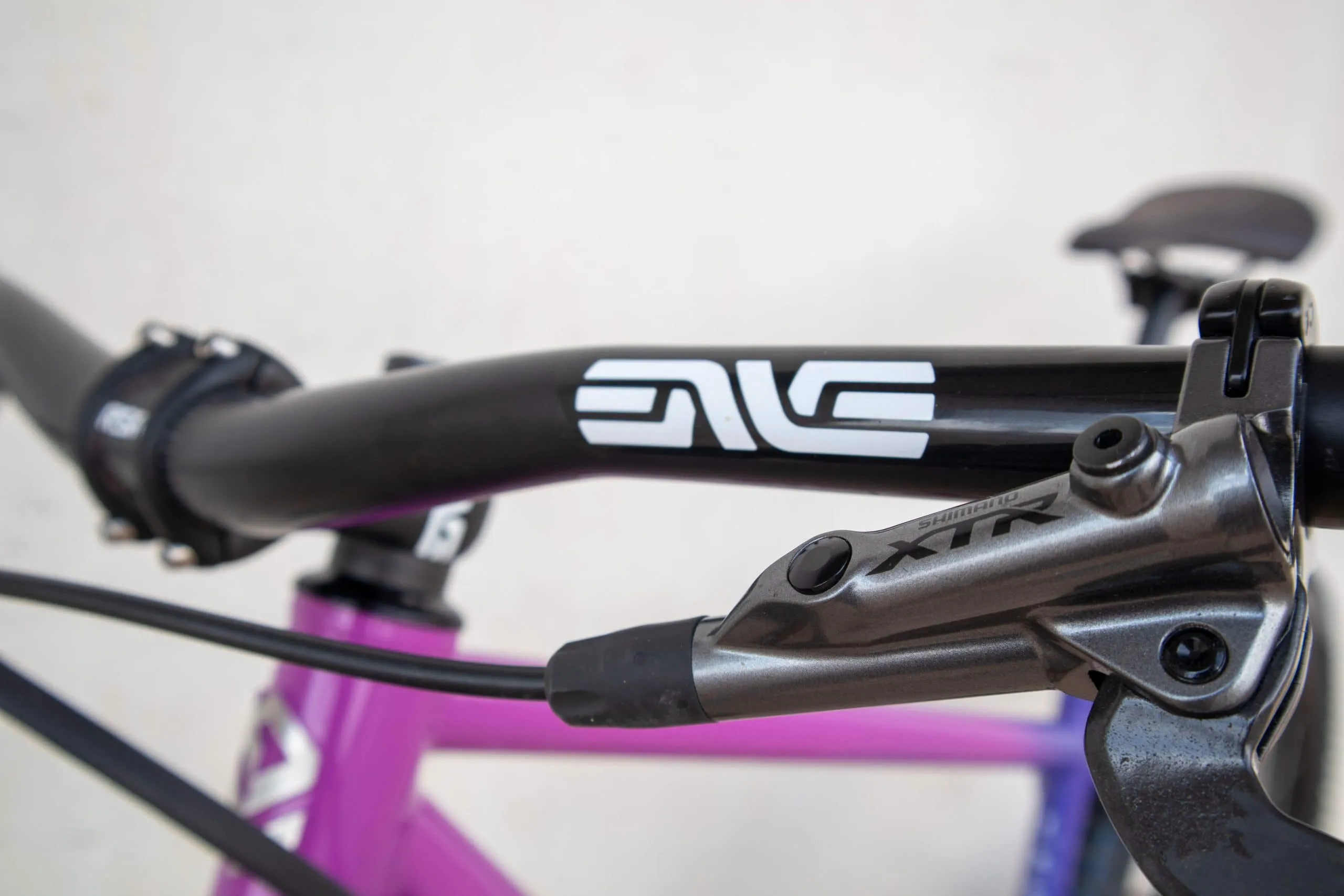 Oxia Babieca detalle 46