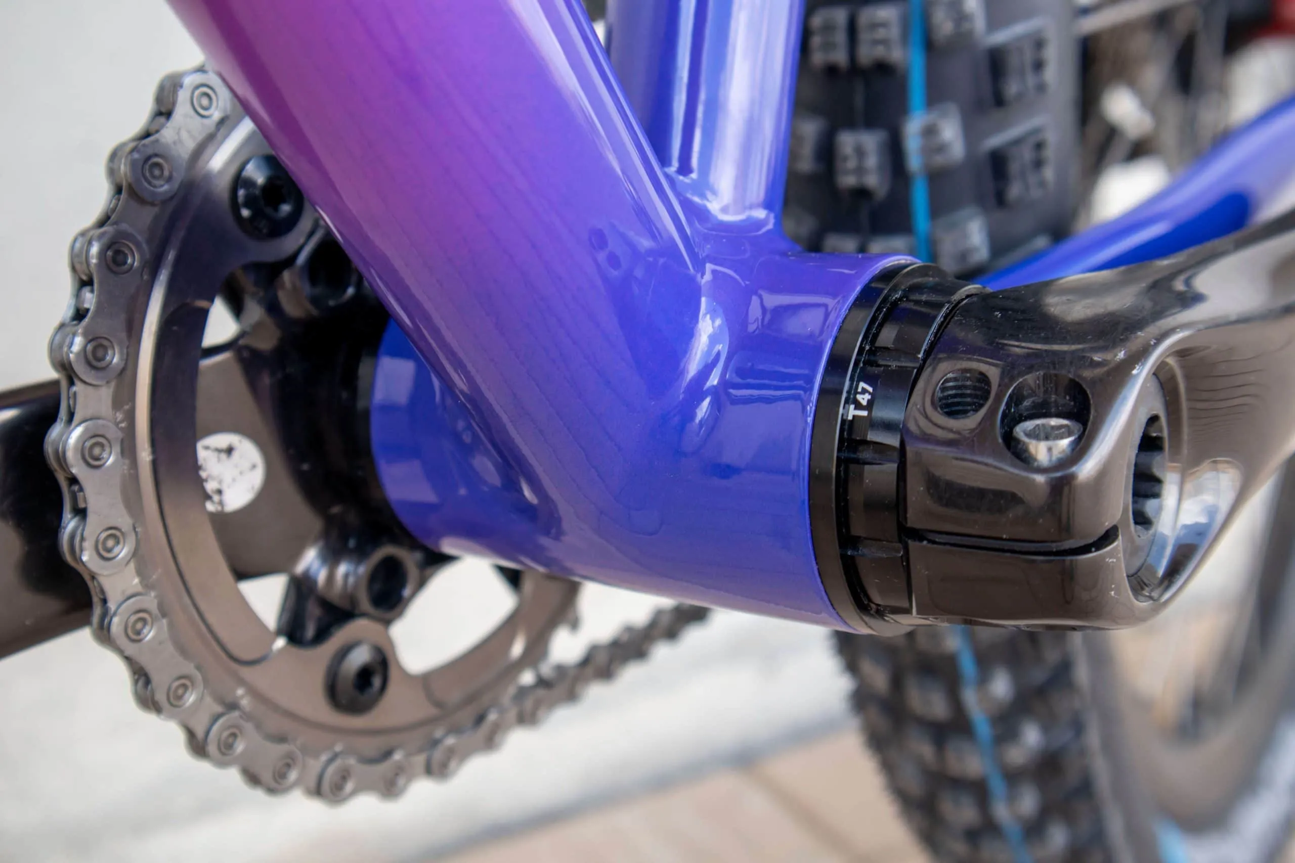 Oxia Babieca detalle 47