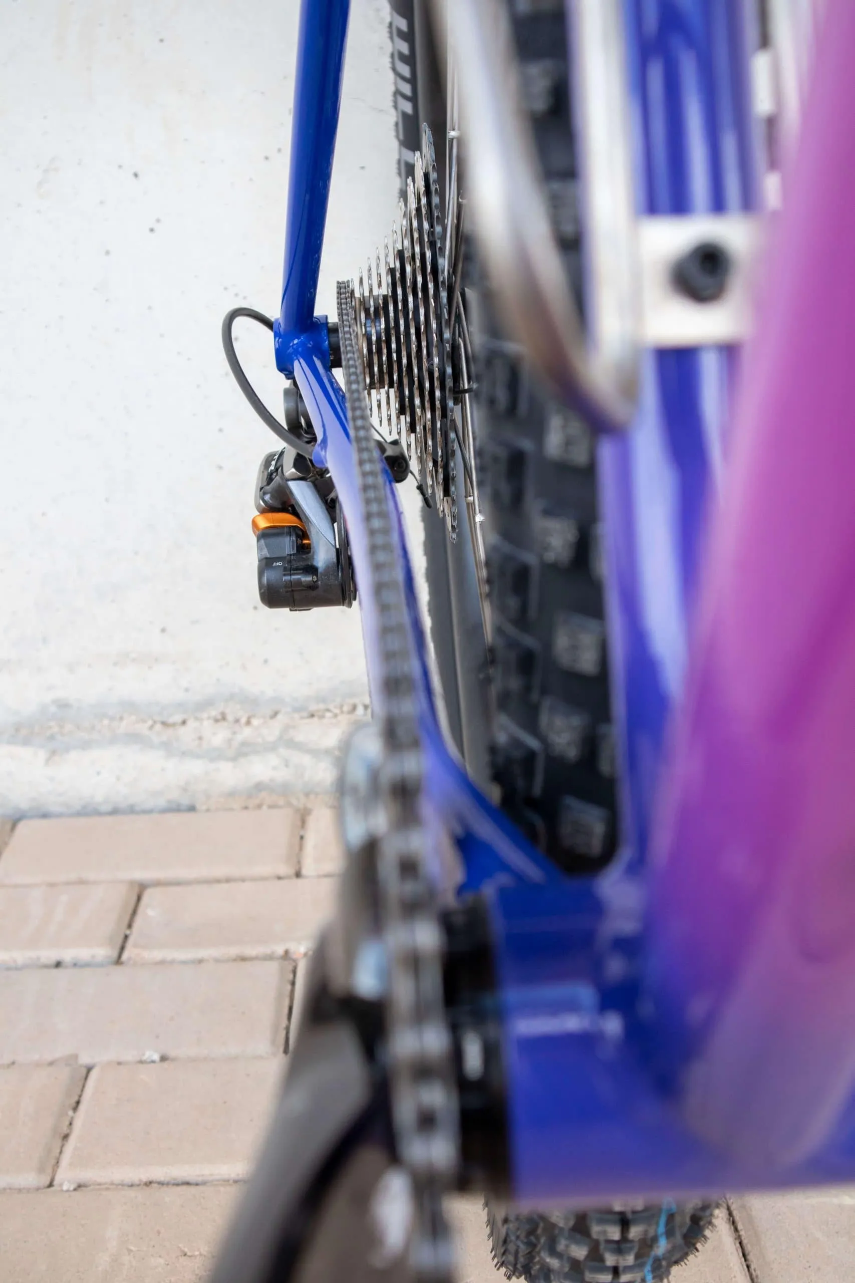 Oxia Babieca detalle 49