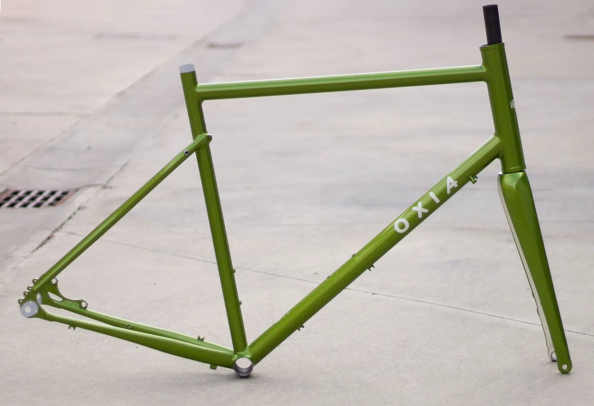 Detalle del cuadro de Oxia Chrysolina