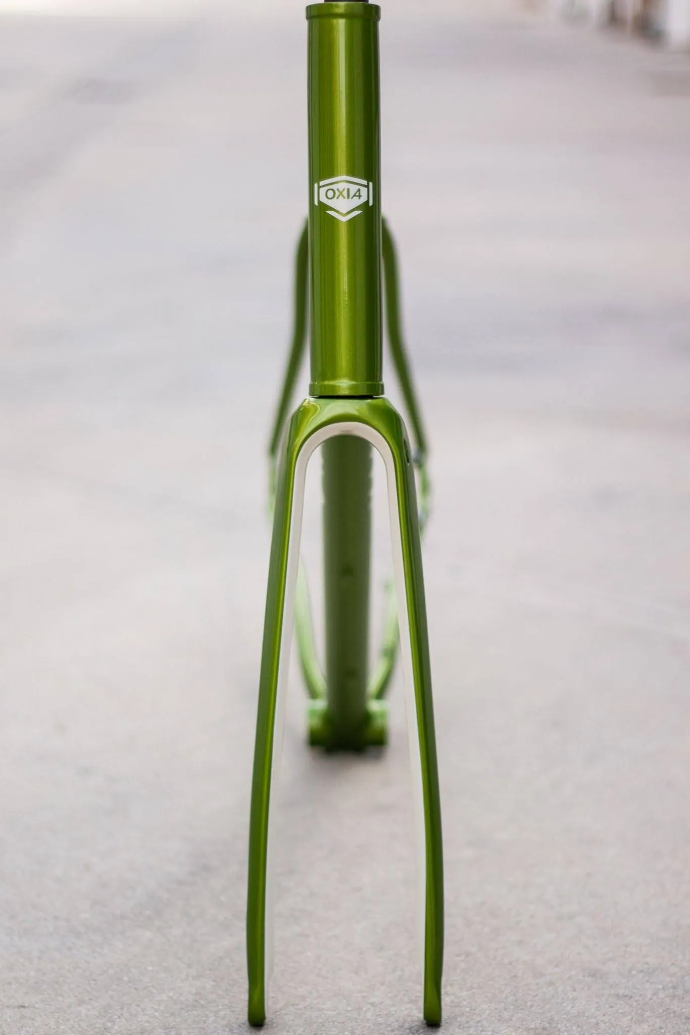 Detalle del montaje de Oxia Chrysolina