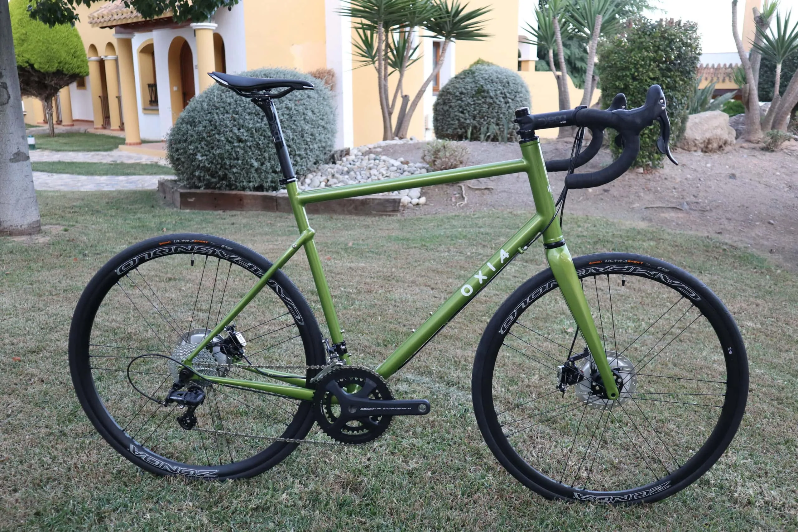 Oxia Chrysolina detalle 04