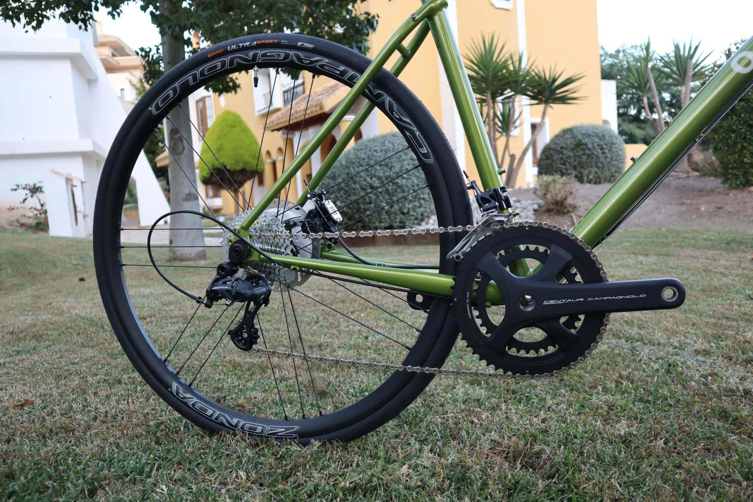 Oxia Chrysolina detalle 05