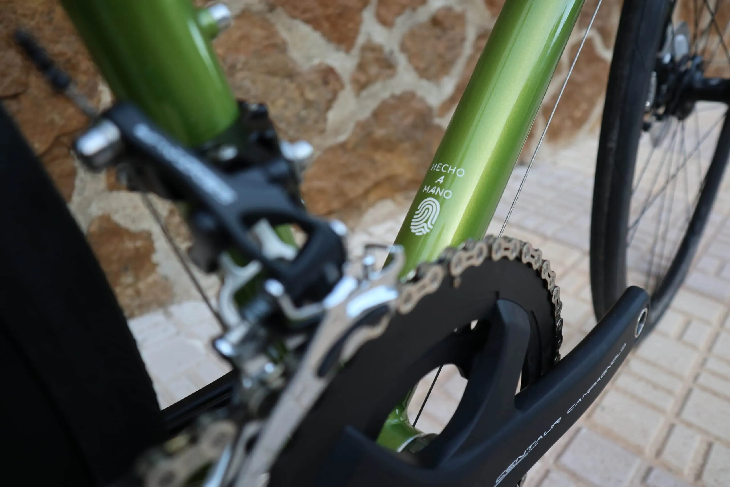 Oxia Chrysolina detalle 06