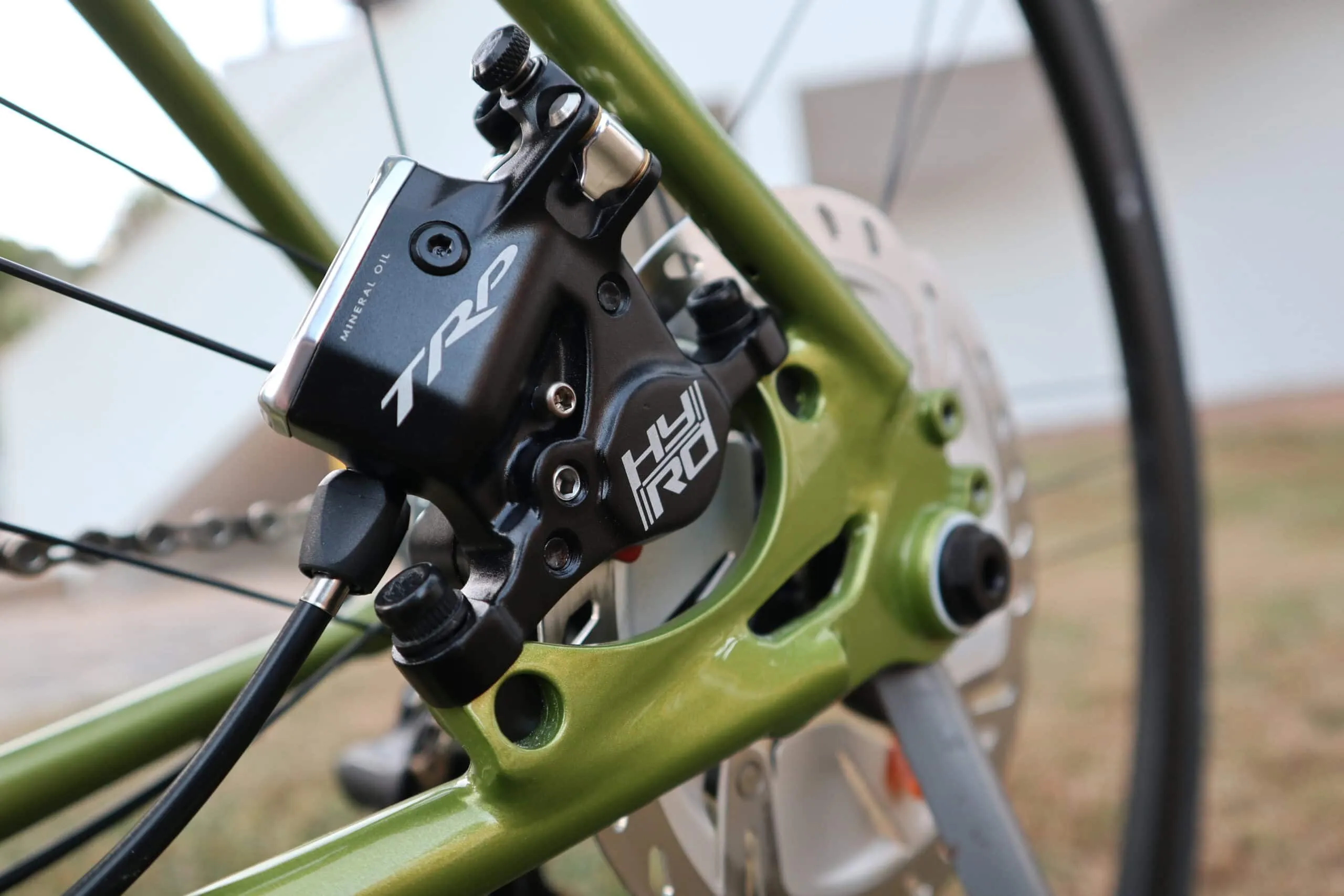 Oxia Chrysolina detalle 08