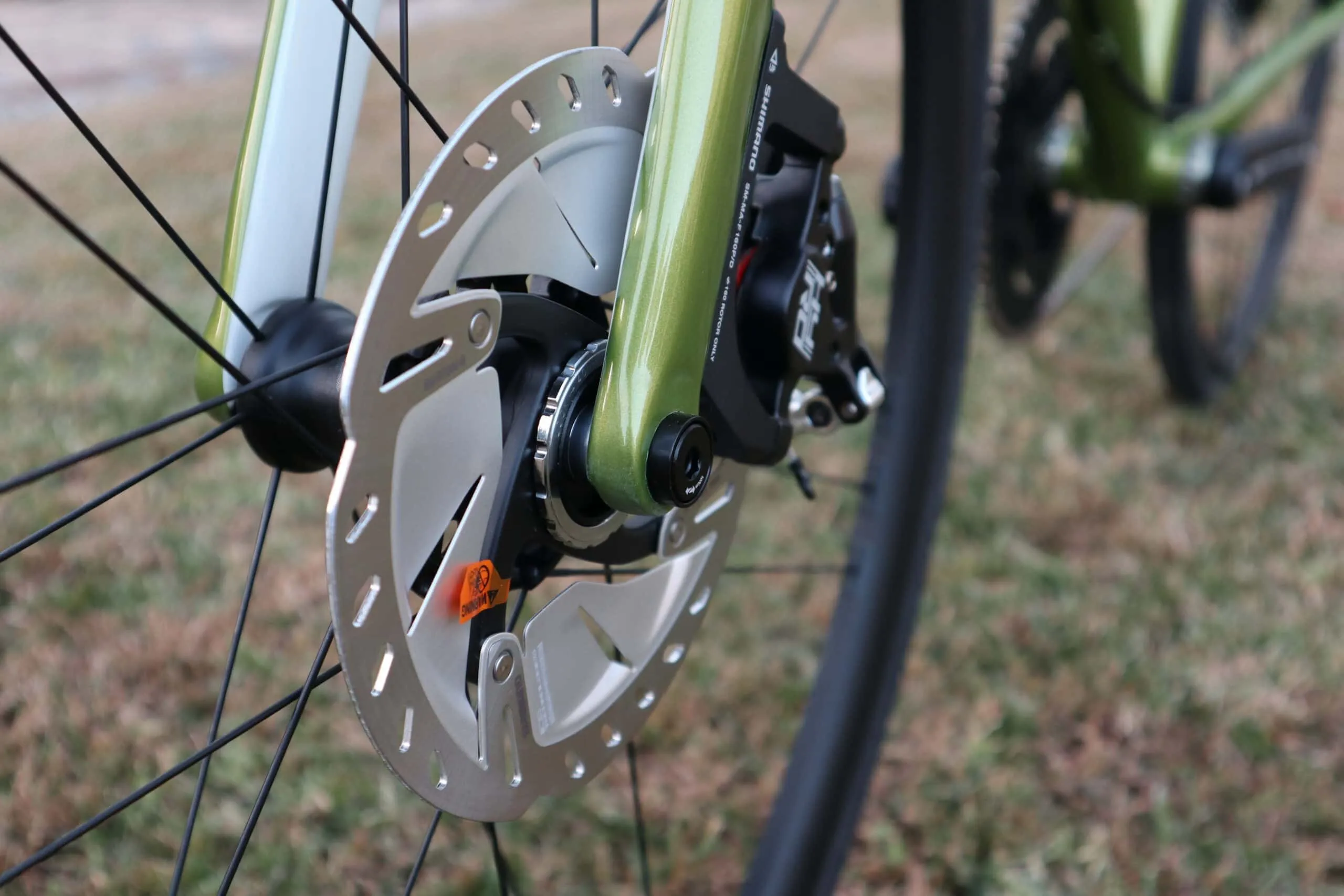 Oxia Chrysolina detalle 09