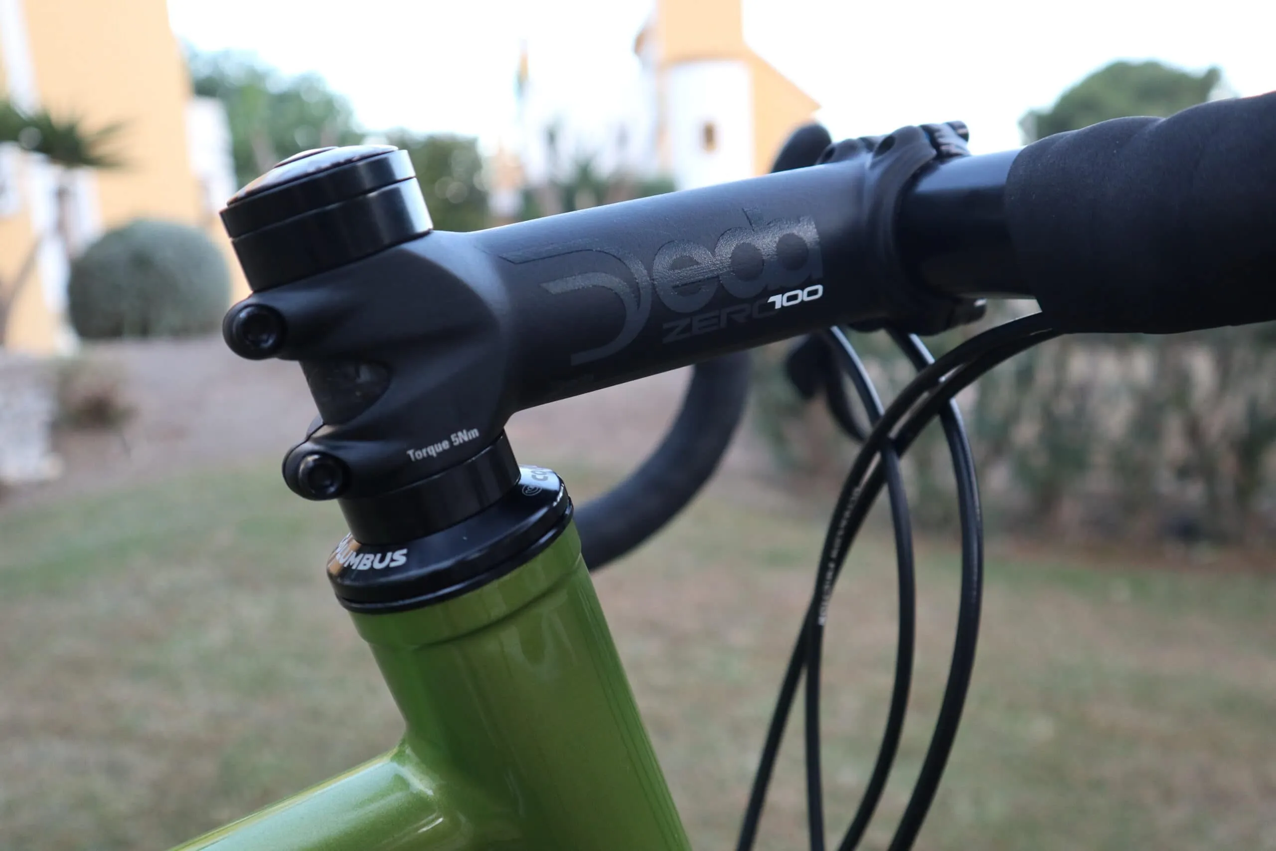 Oxia Chrysolina detalle 10