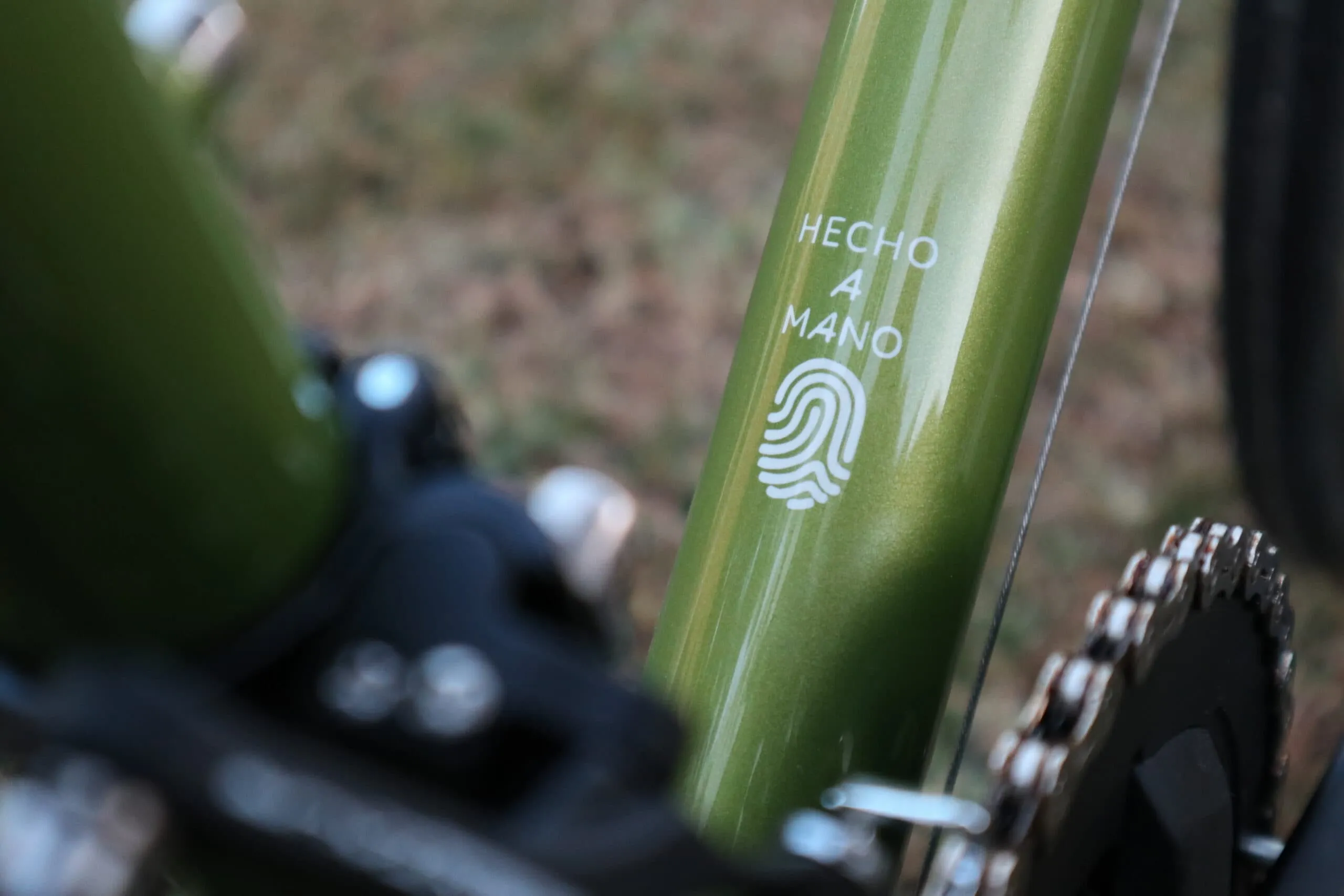 Oxia Chrysolina detalle 11