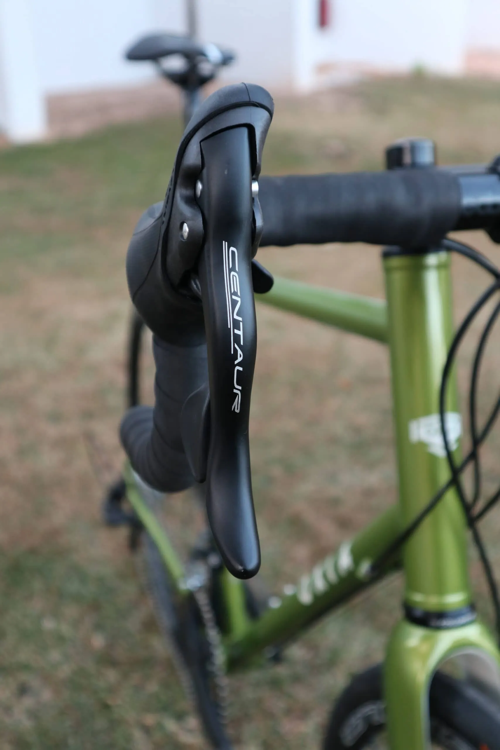 Oxia Chrysolina detalle 12