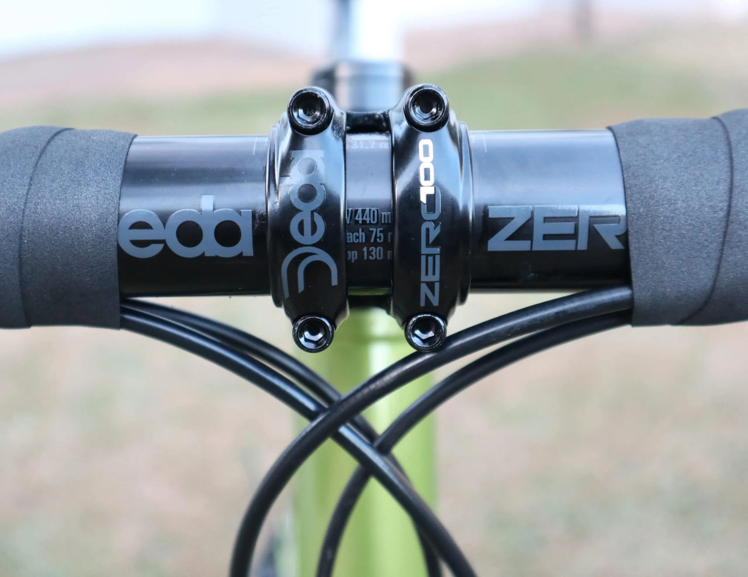 Oxia Chrysolina detalle 13