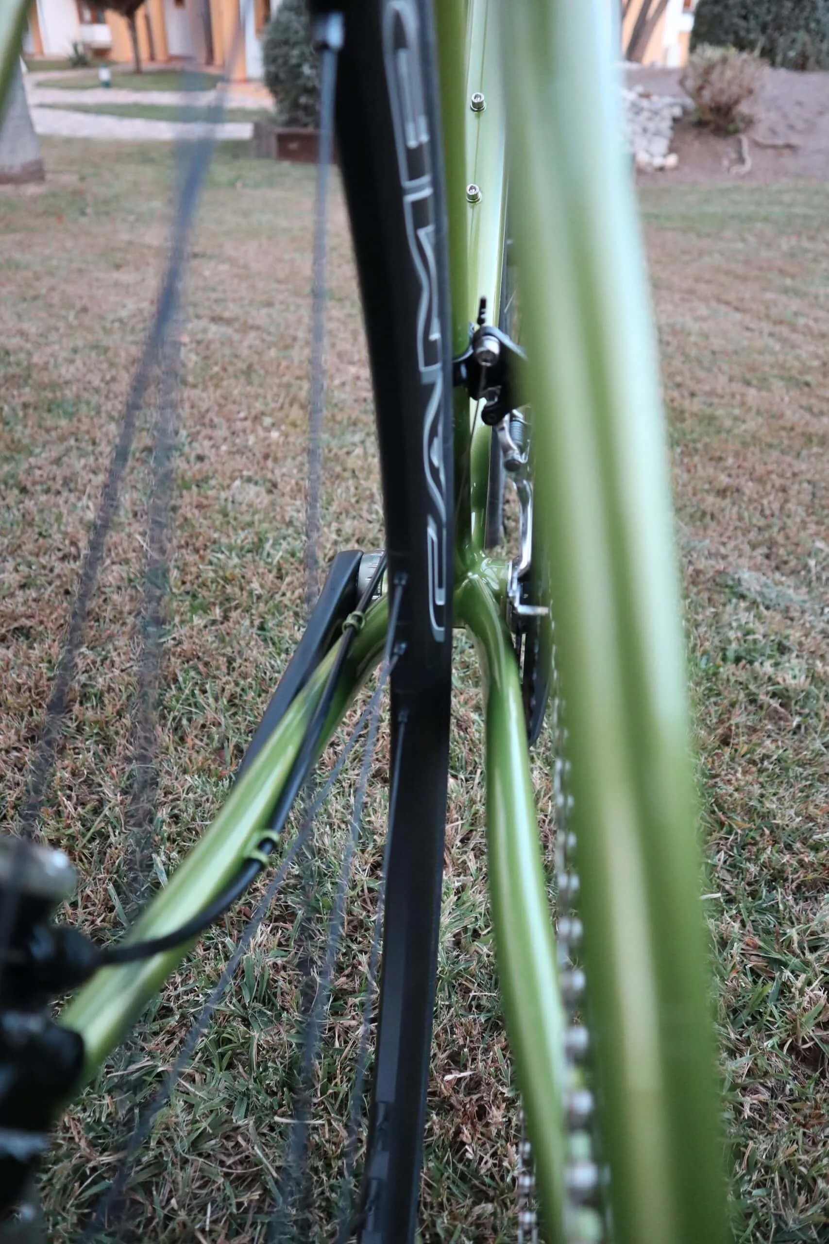 Oxia Chrysolina detalle 14