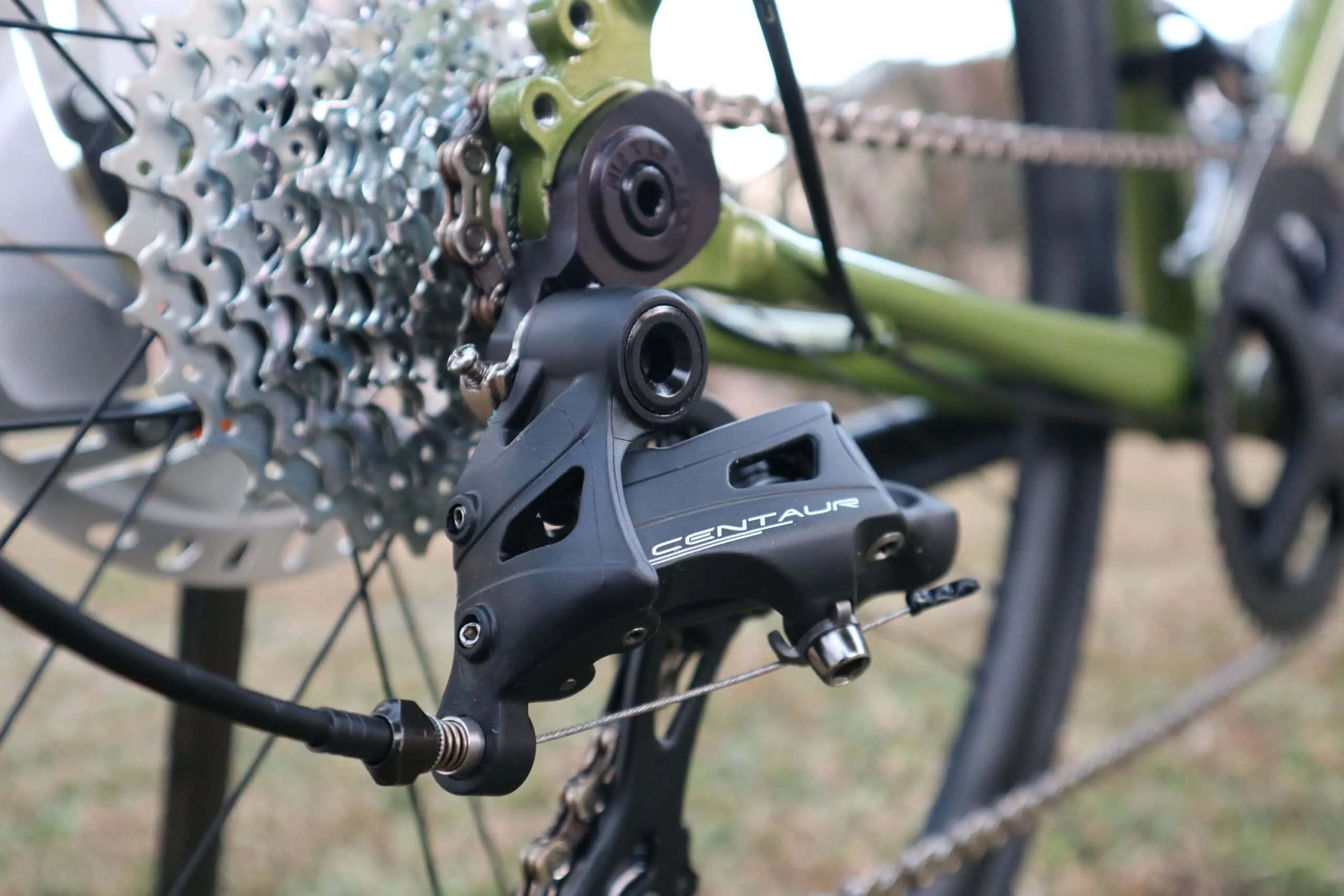 Oxia Chrysolina detalle 16