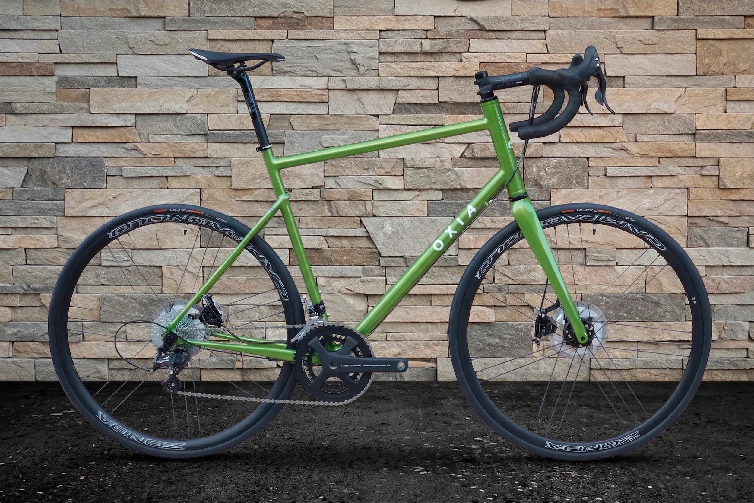 Oxia Chrysolina vista general