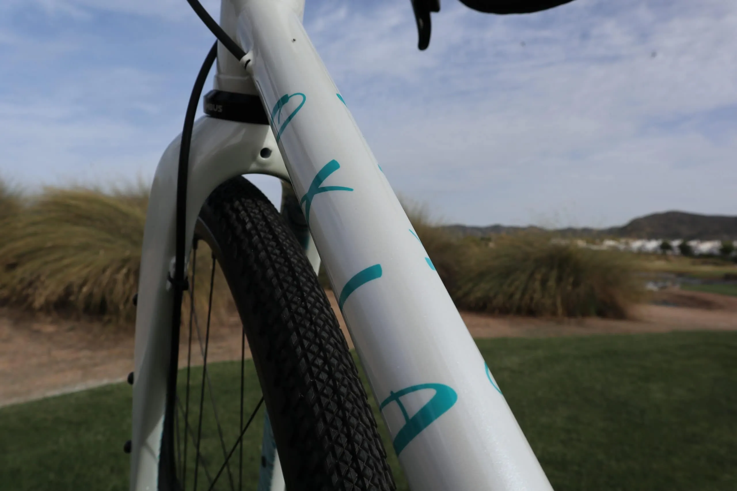 Oxia Corremundos detalle 16