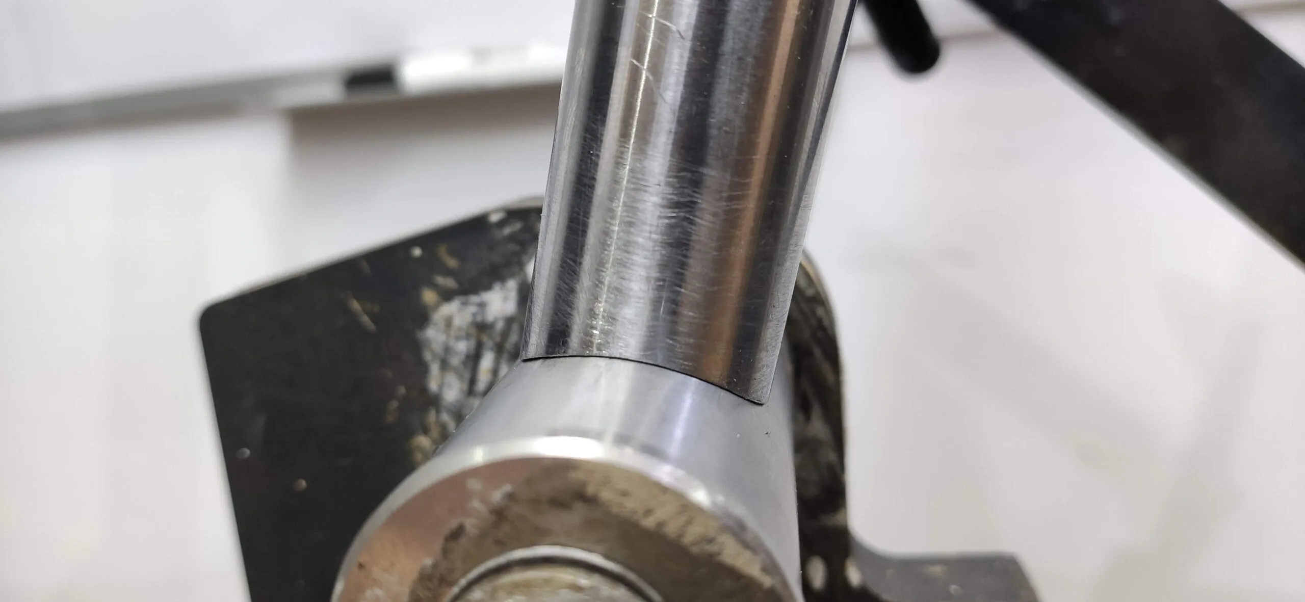 Detalle del montaje de Oxia Flavia