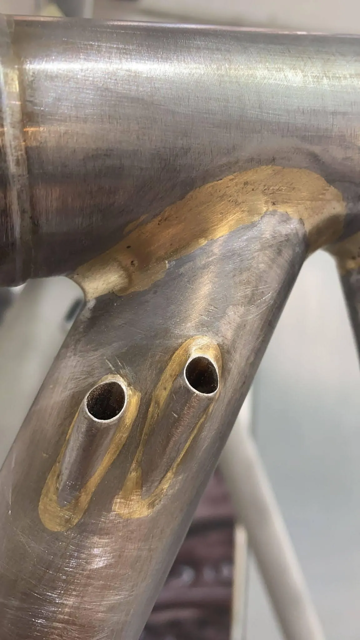 Oxia Flavia detalle 07