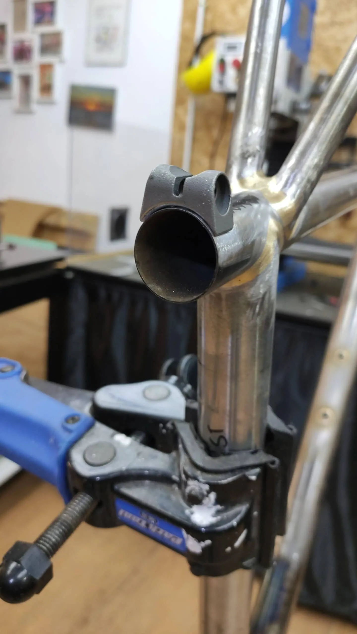 Oxia Flavia detalle 09