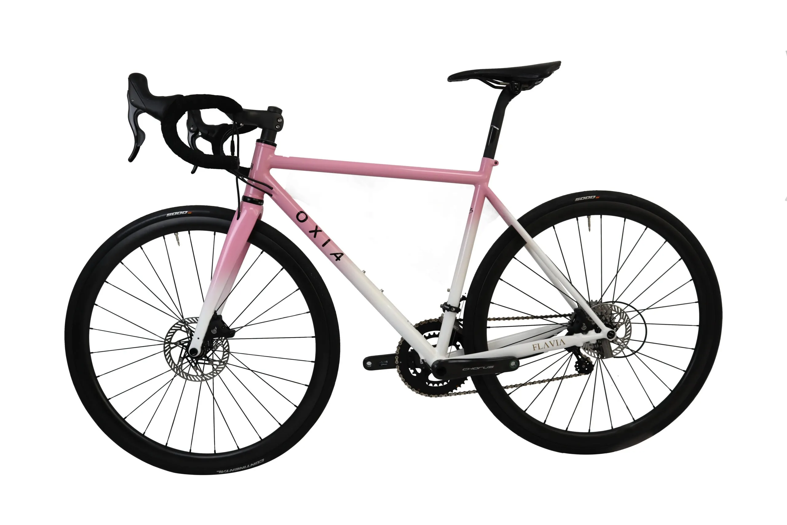 Oxia Flavia detalle 12