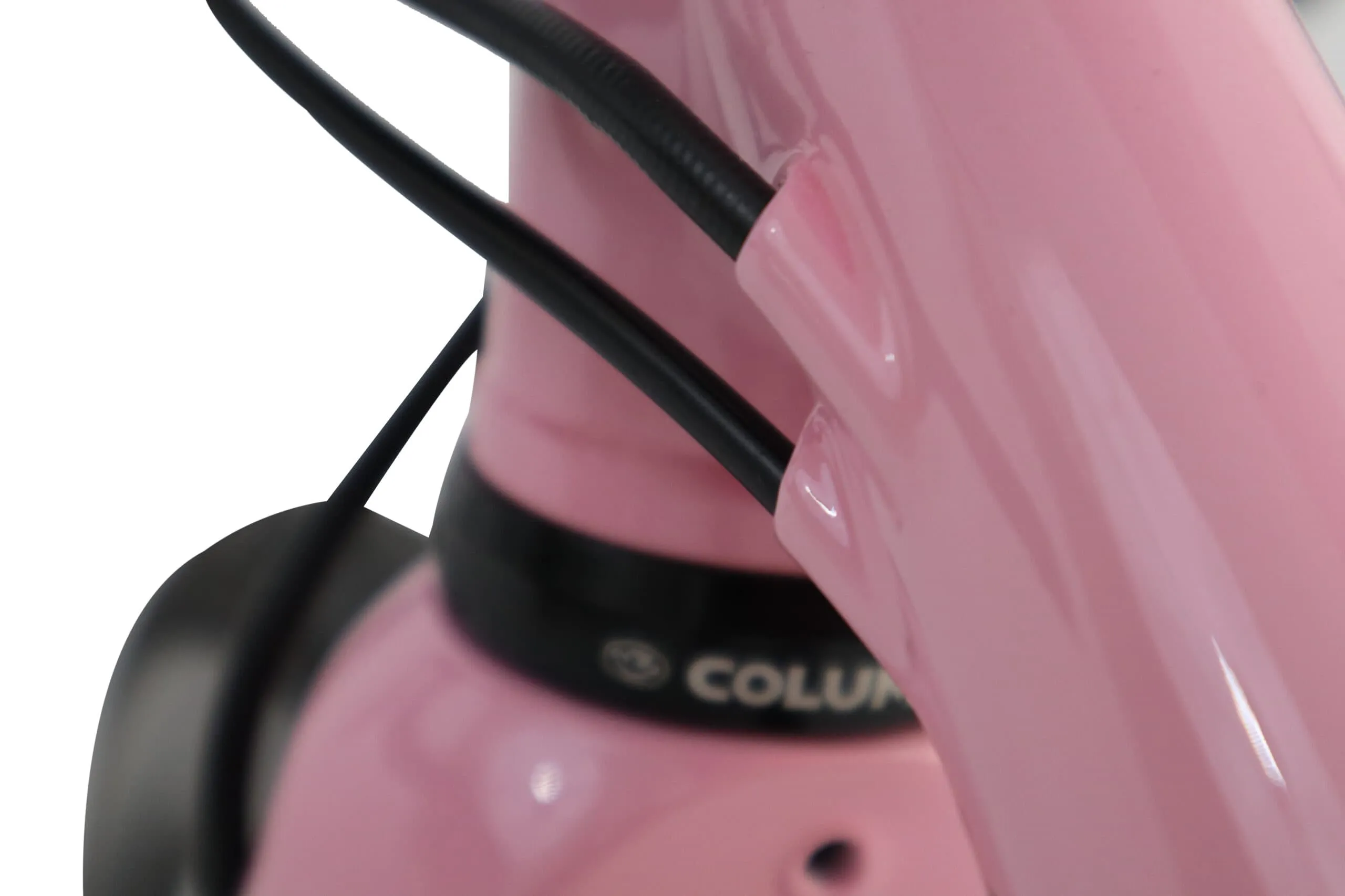 Oxia Flavia detalle 13