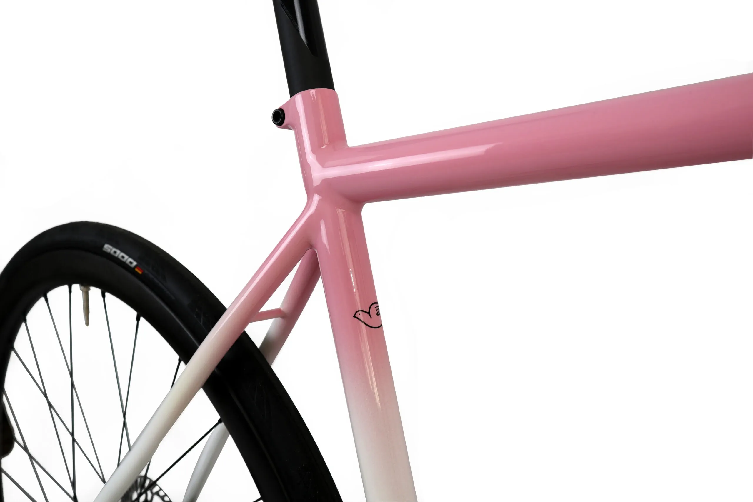 Oxia Flavia detalle 14