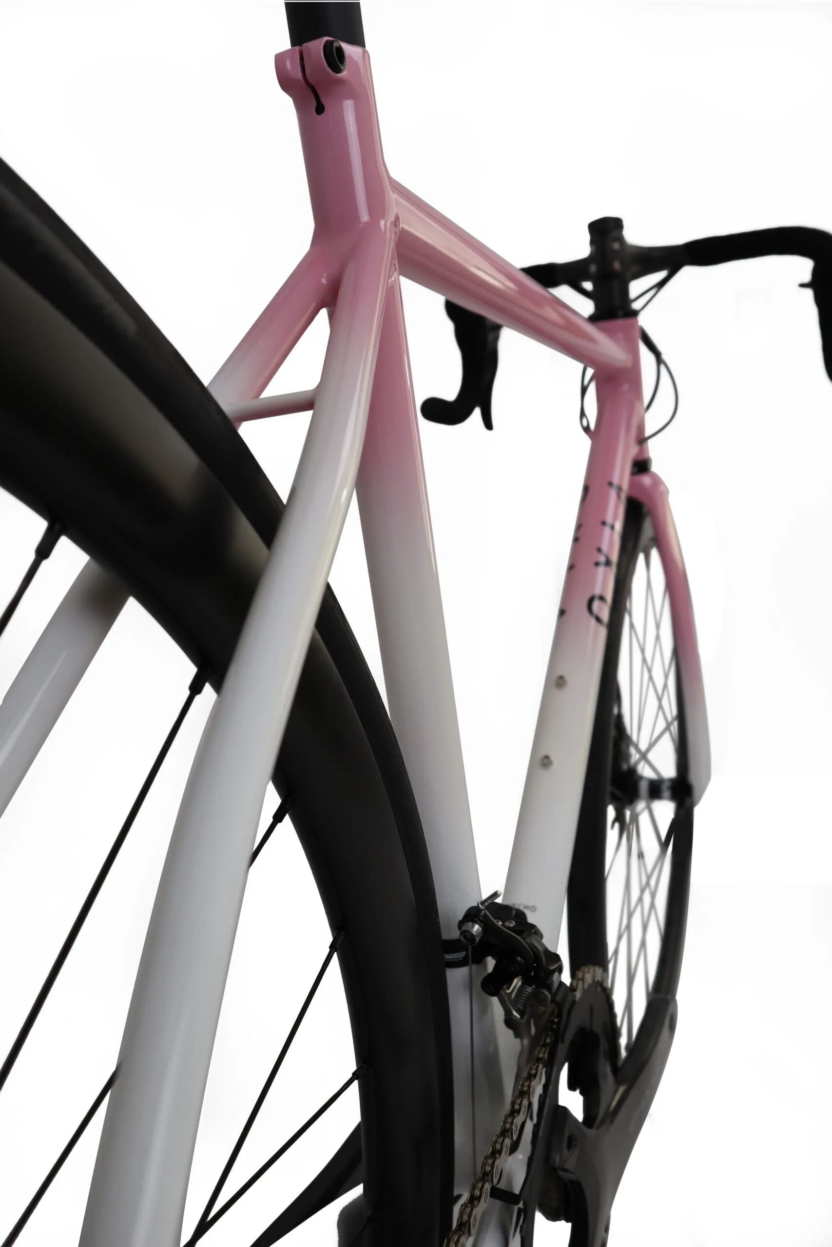 Oxia Flavia detalle 15